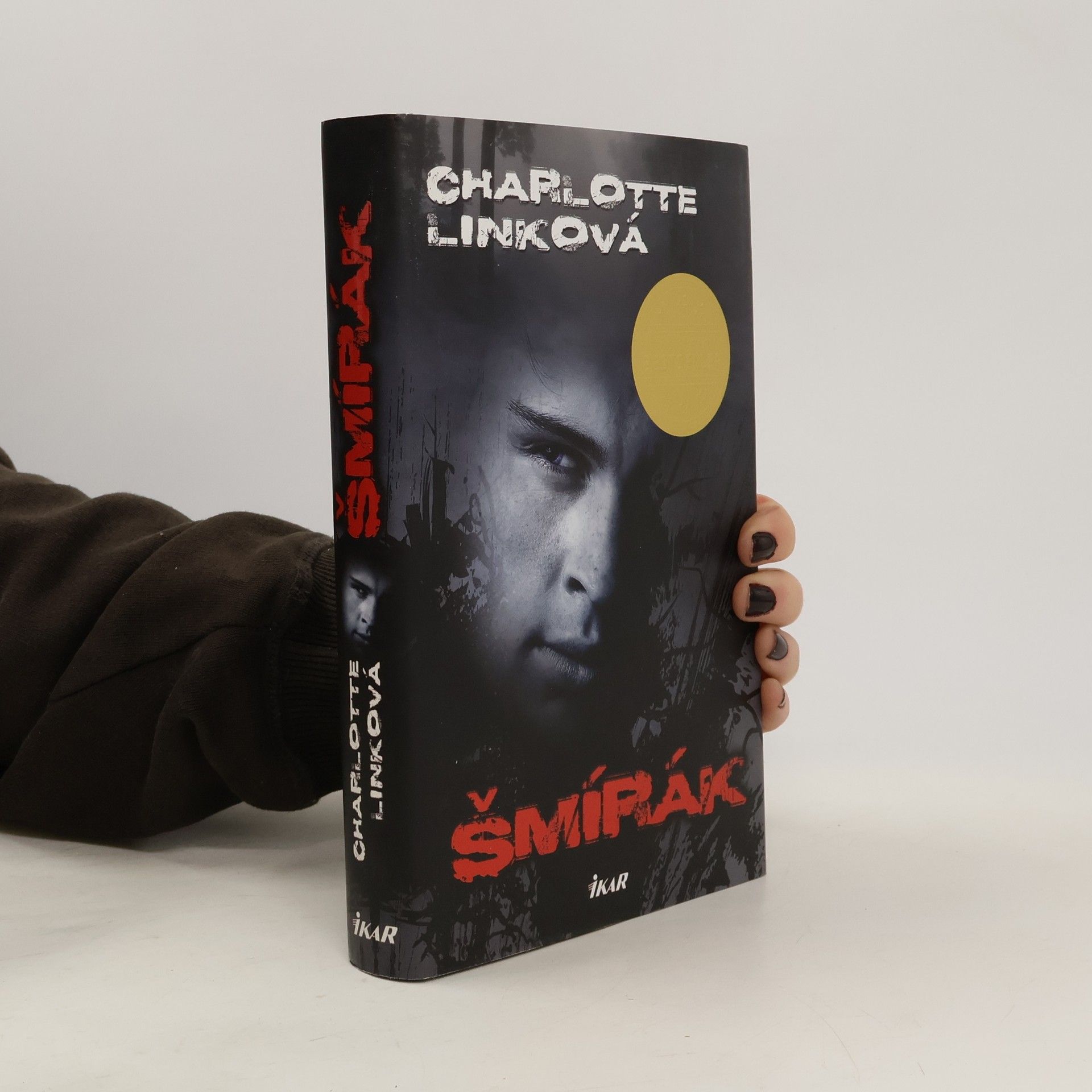 Charlotte Link Šmírák