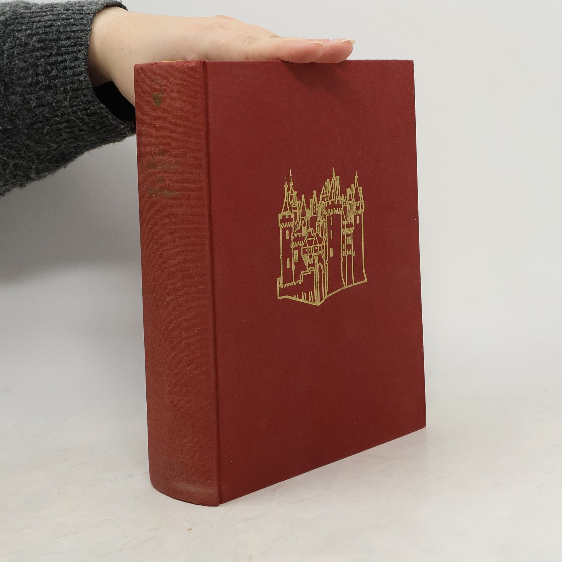 Das grosse Buch der Rittersagen. I. Band