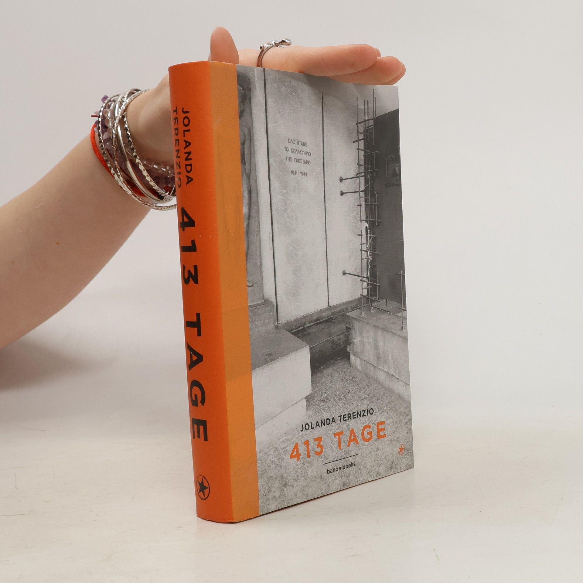 Jolanda Terenzio 413 Tage