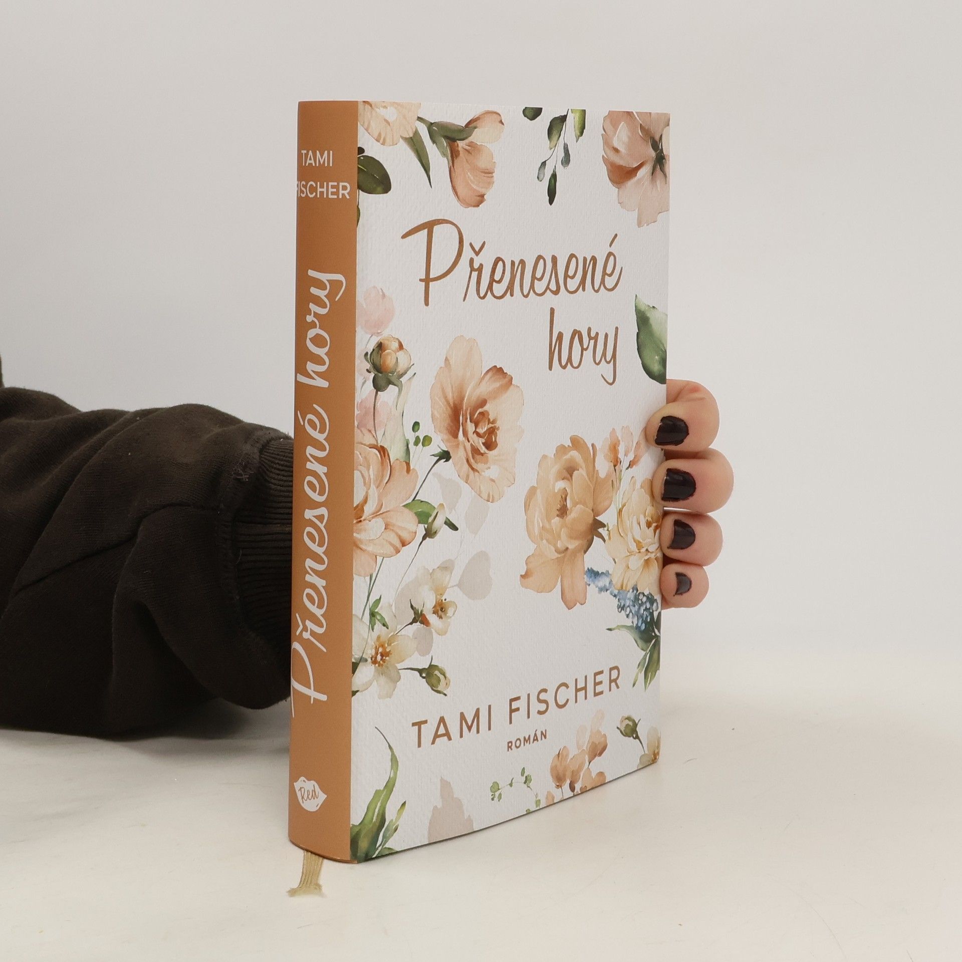 Tami Fischer Přenesené hory