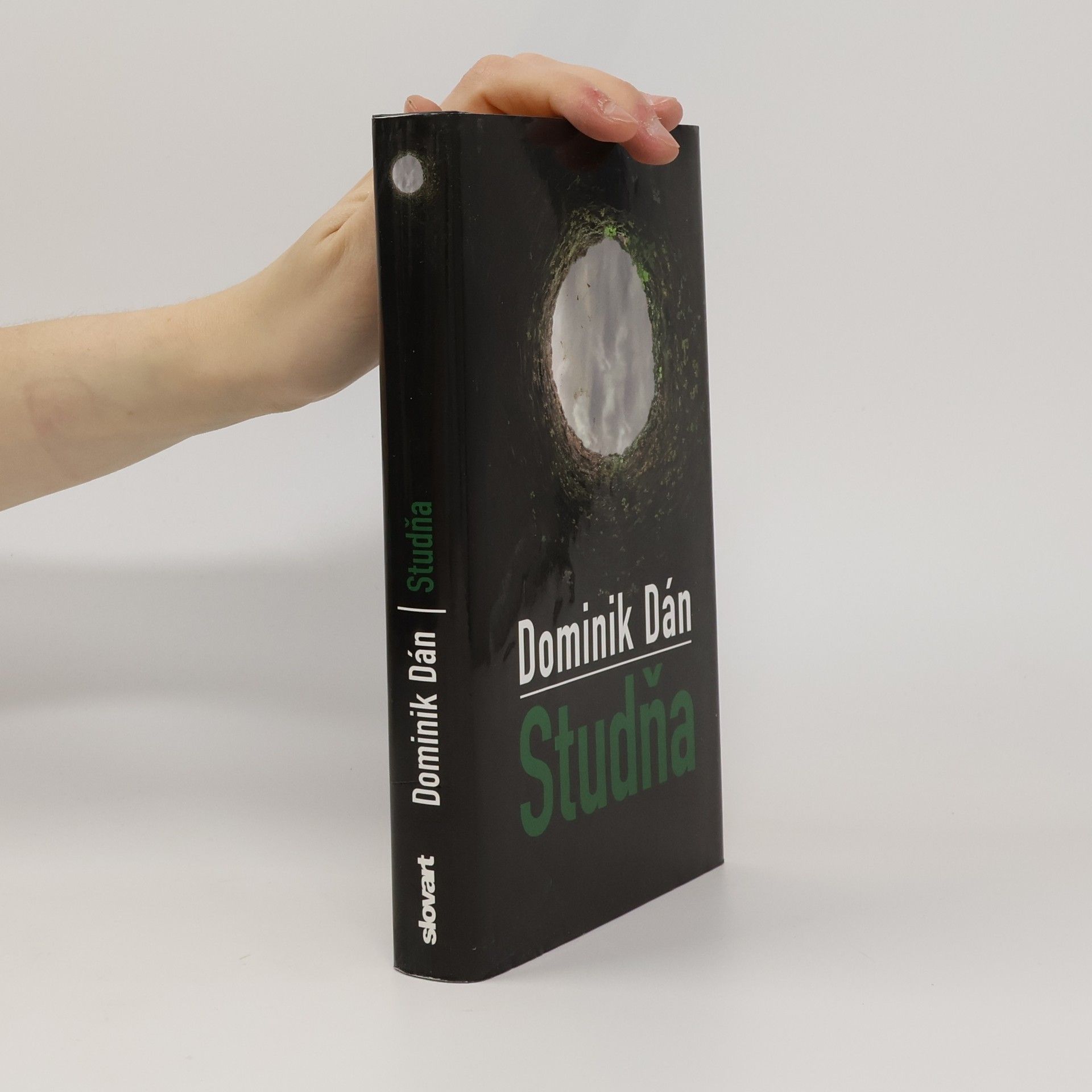 Dominik Dán Studňa