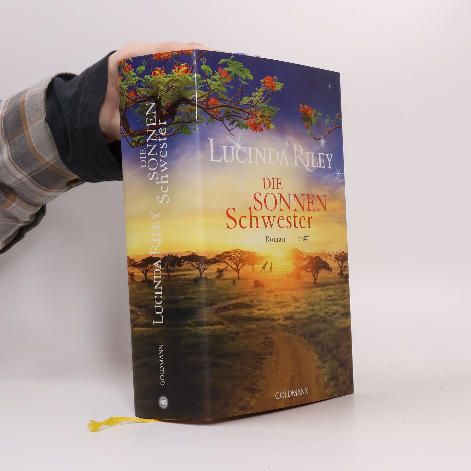 Lucinda Riley Die Sonnenschwester