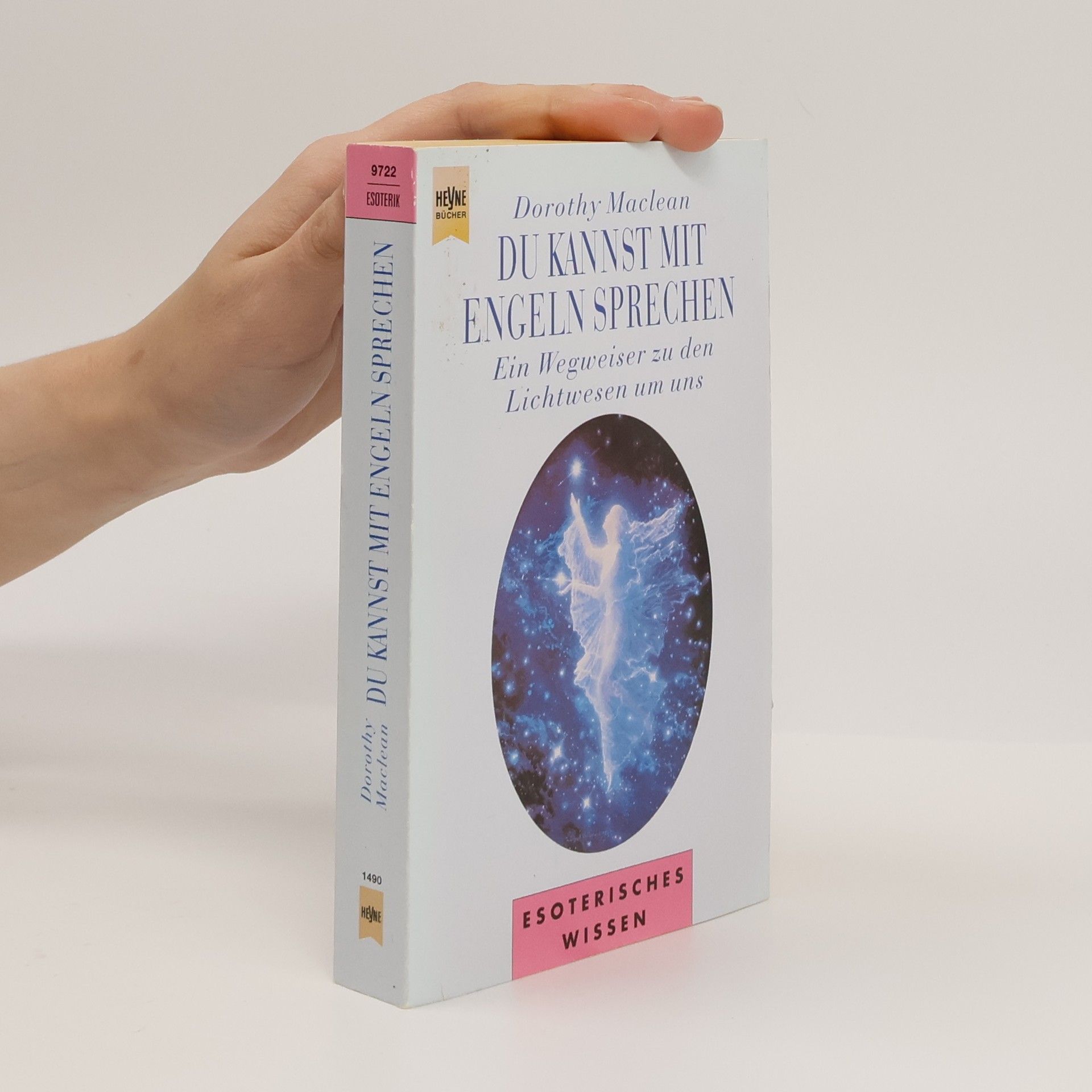 Dorothy Maclean Du kannst mit Engeln sprechen