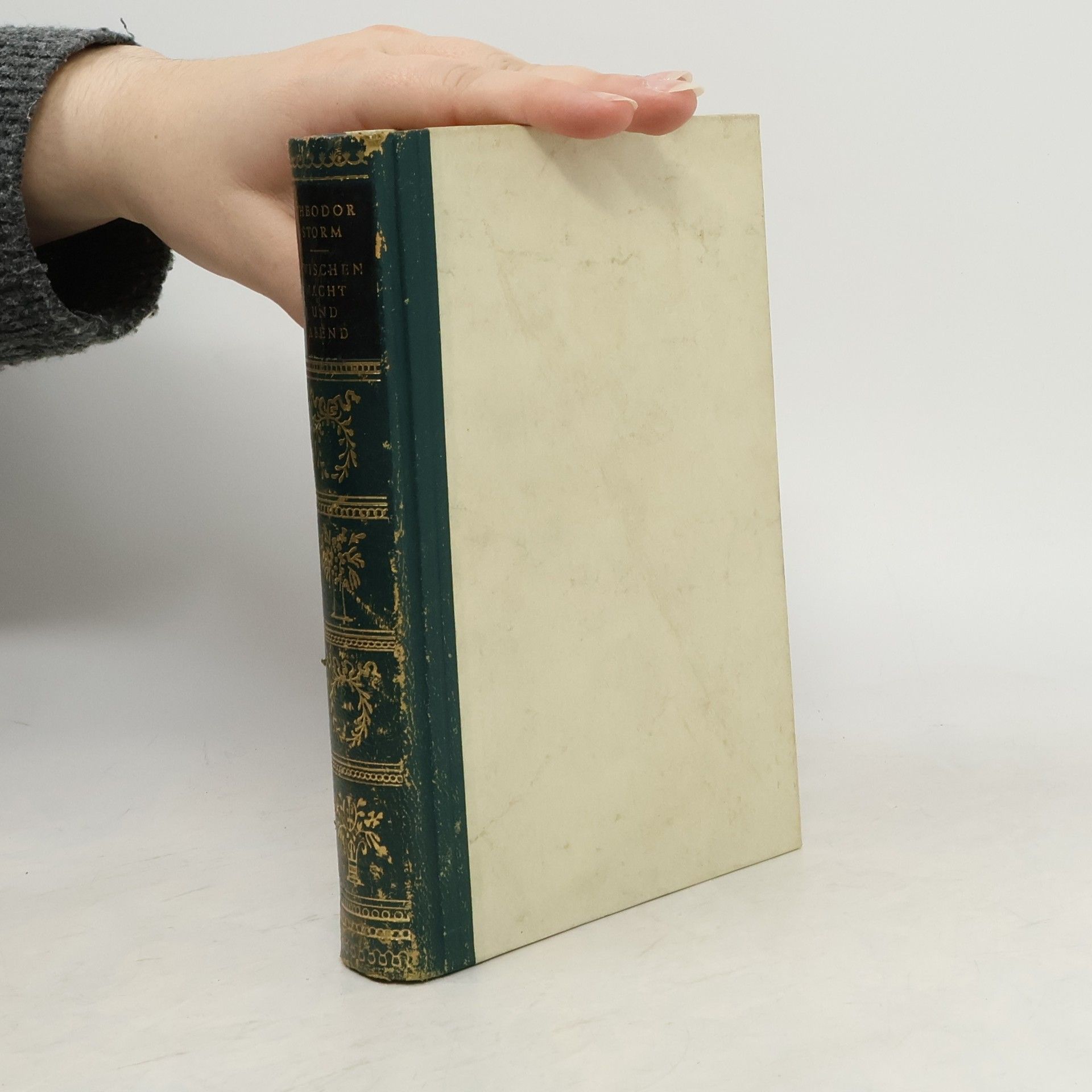 Theodor Storm Zwischen Nacht und Abend