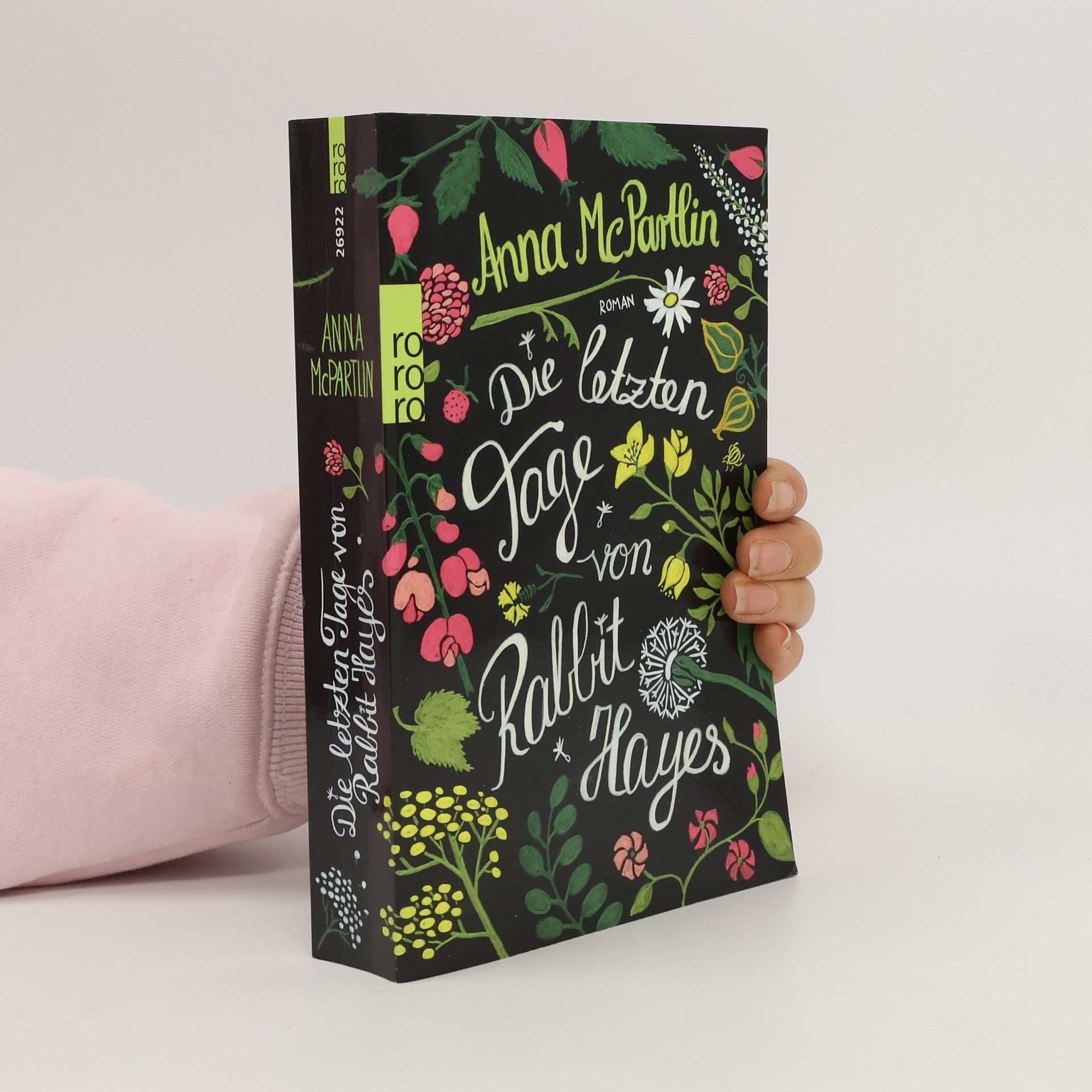 Anna Mc Partlin Die letzten Tage von Rabbit Hayes