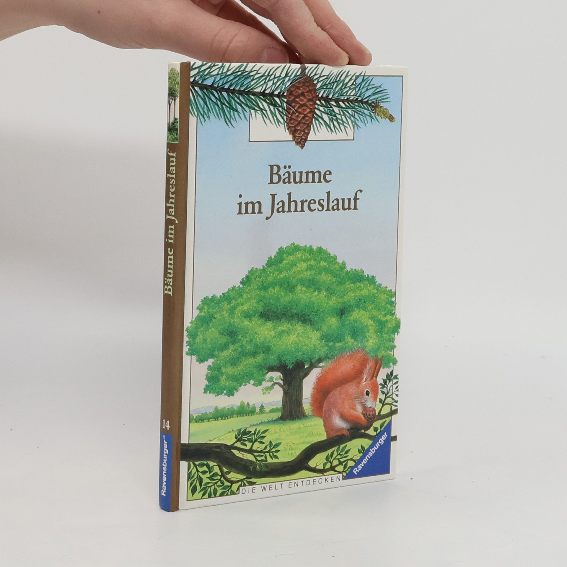 Gaud Morel Bäume im Jahreslauf