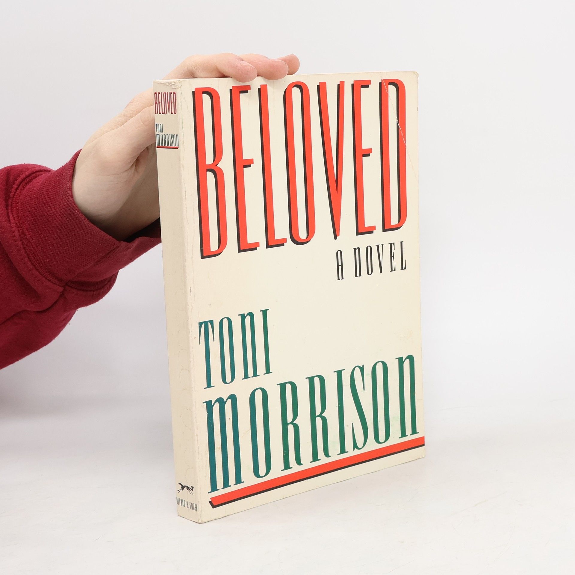 Toni Morrison Beloved