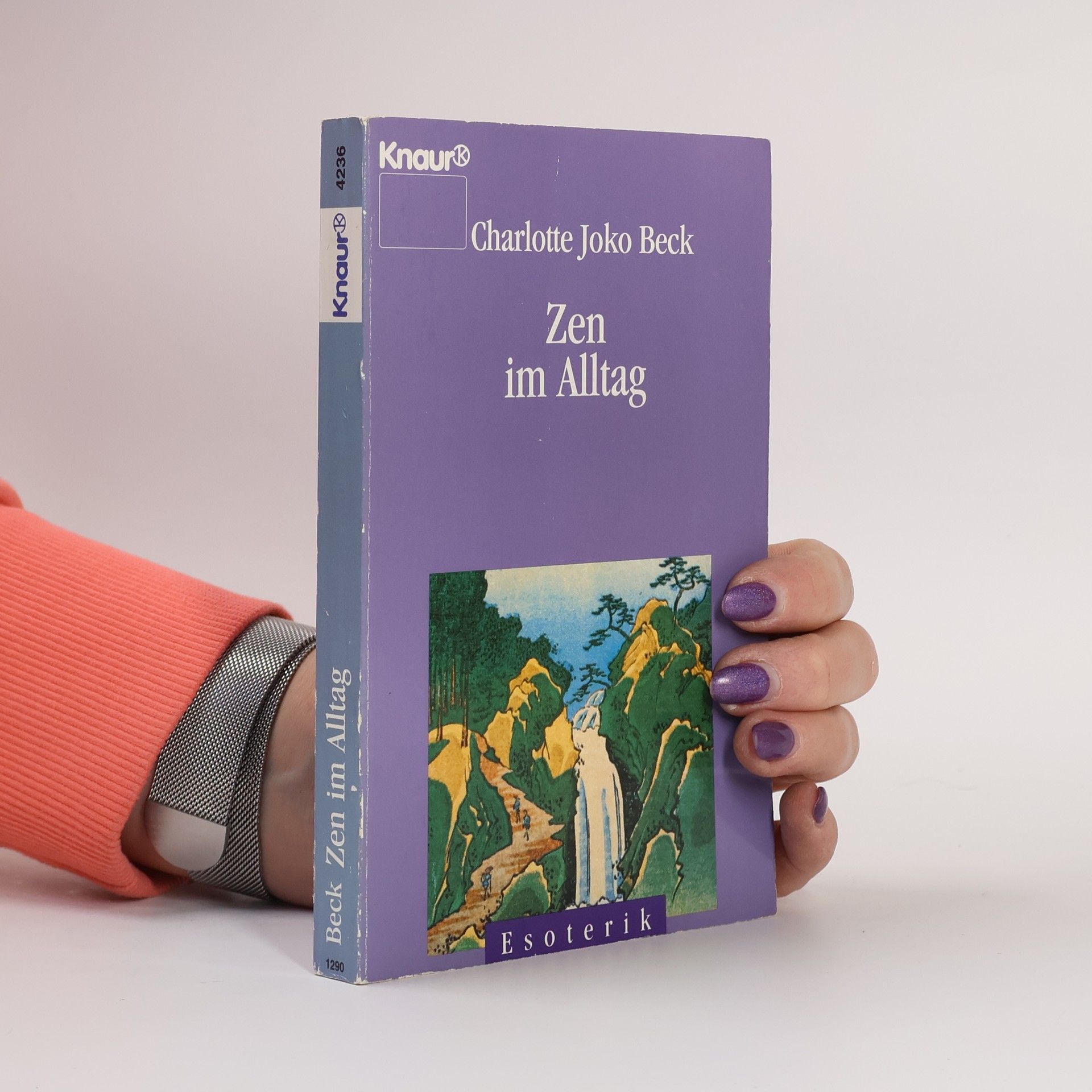 Charlotte Joko Beck Zen im Alltag