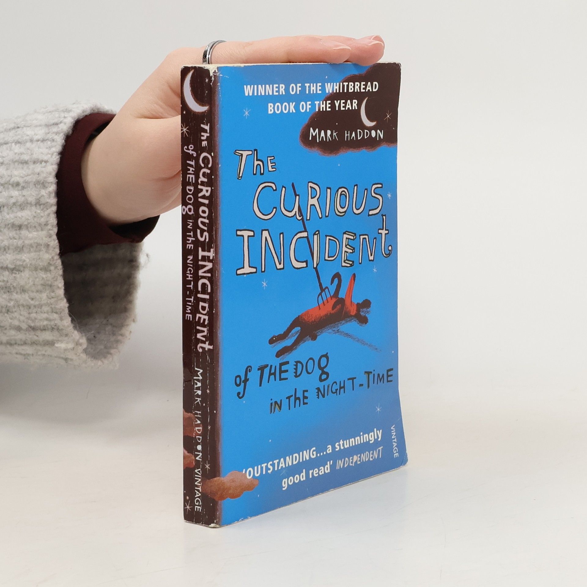 Mark Haddon The Curious Incident of The Dog in The Night-Time