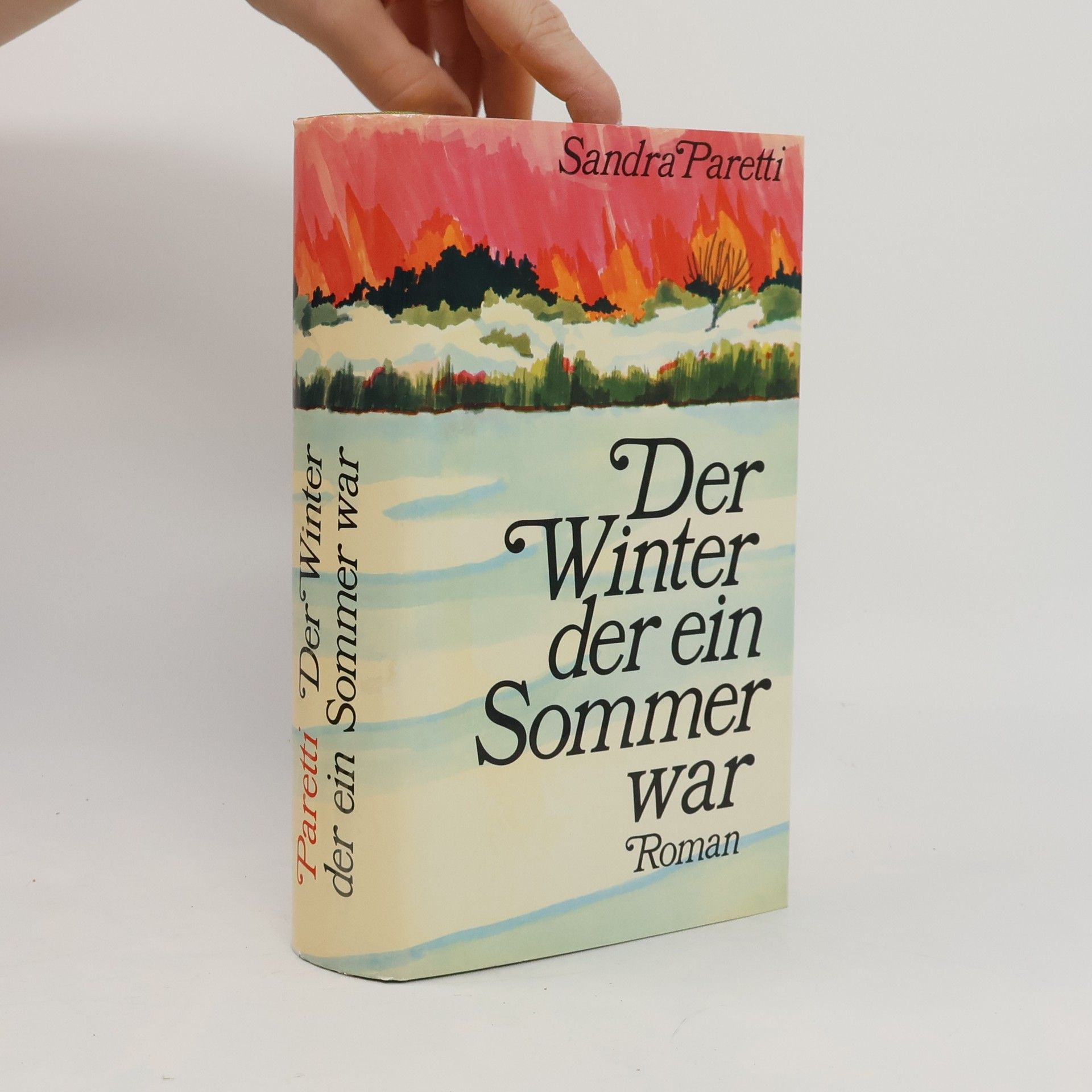 Sandra Paretti Der Winter der ein Sommer war