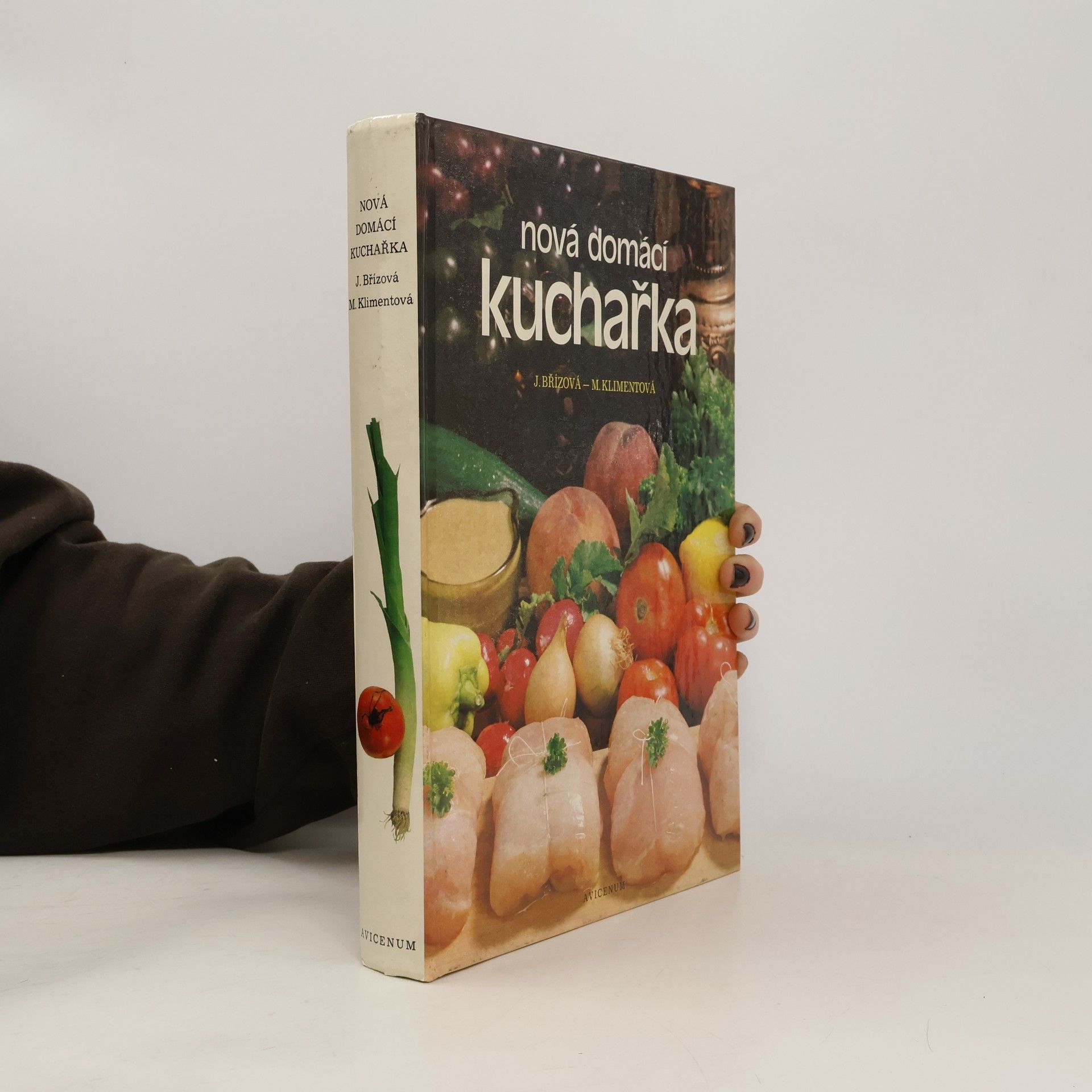 Joza Břízová Nová domácí kuchařka