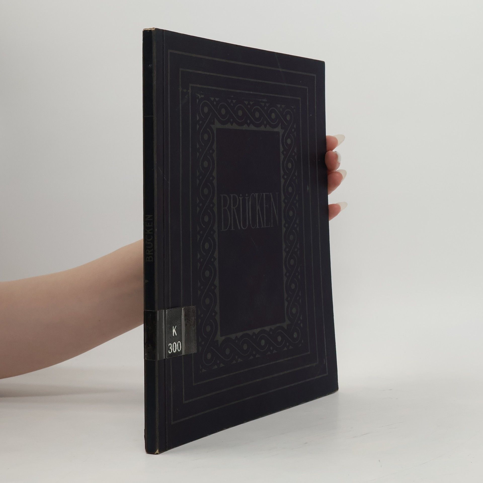 Collectif d'auteurs Brücken