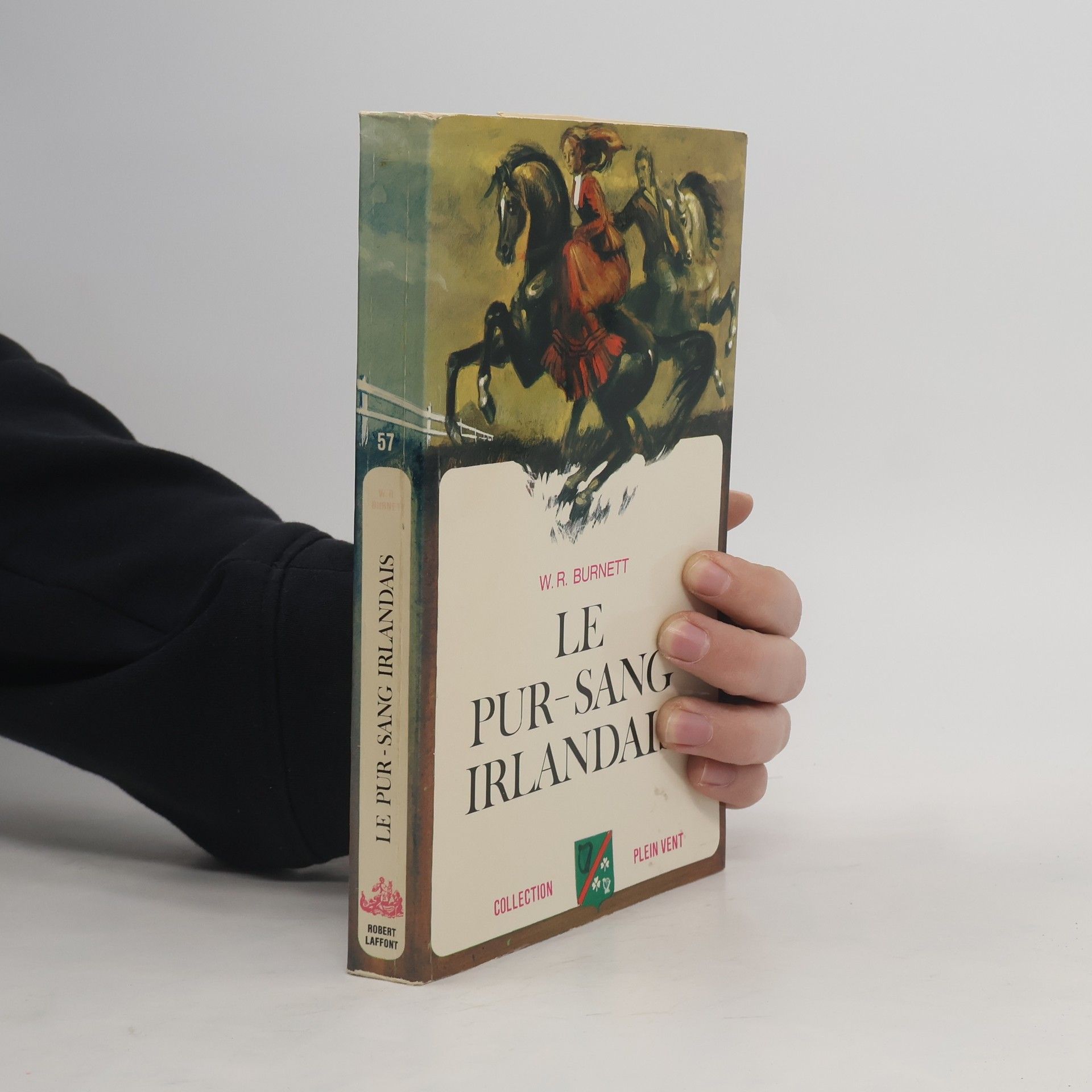 W. R. Burnett Le pur-sang irlandais