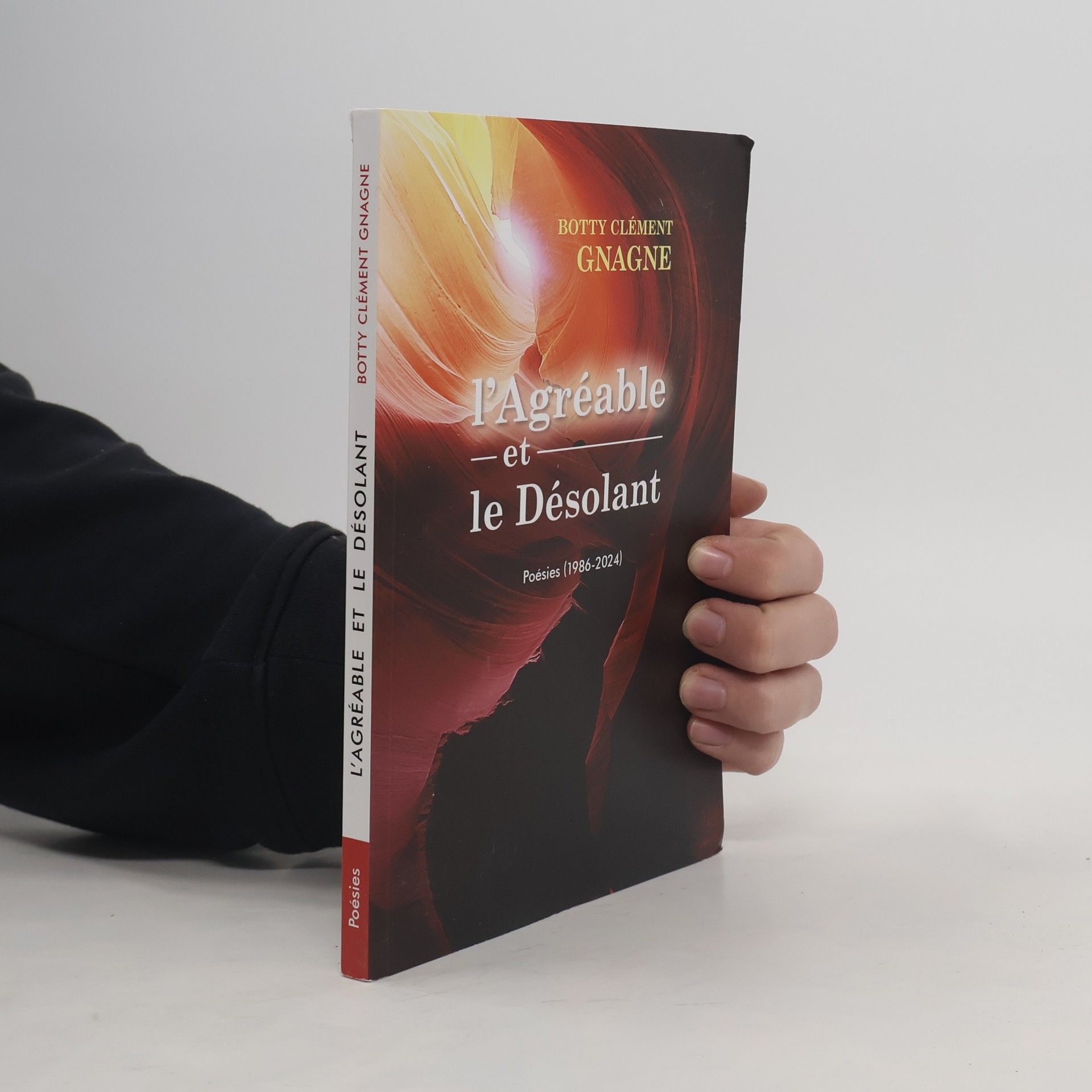 Botty Clémént Gnagné L'Agréable et le Désolant