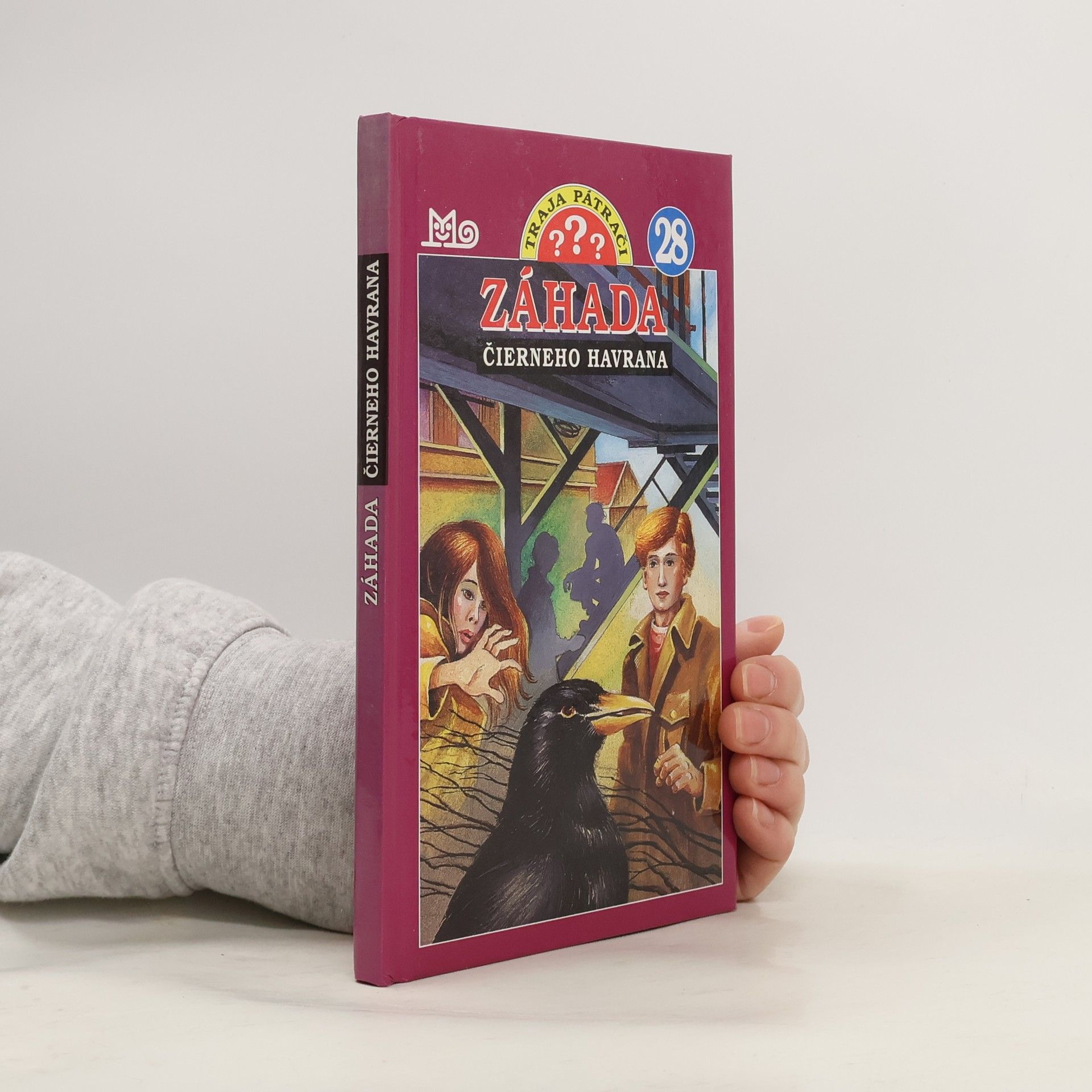 André Marx Záhada čierneho havrana