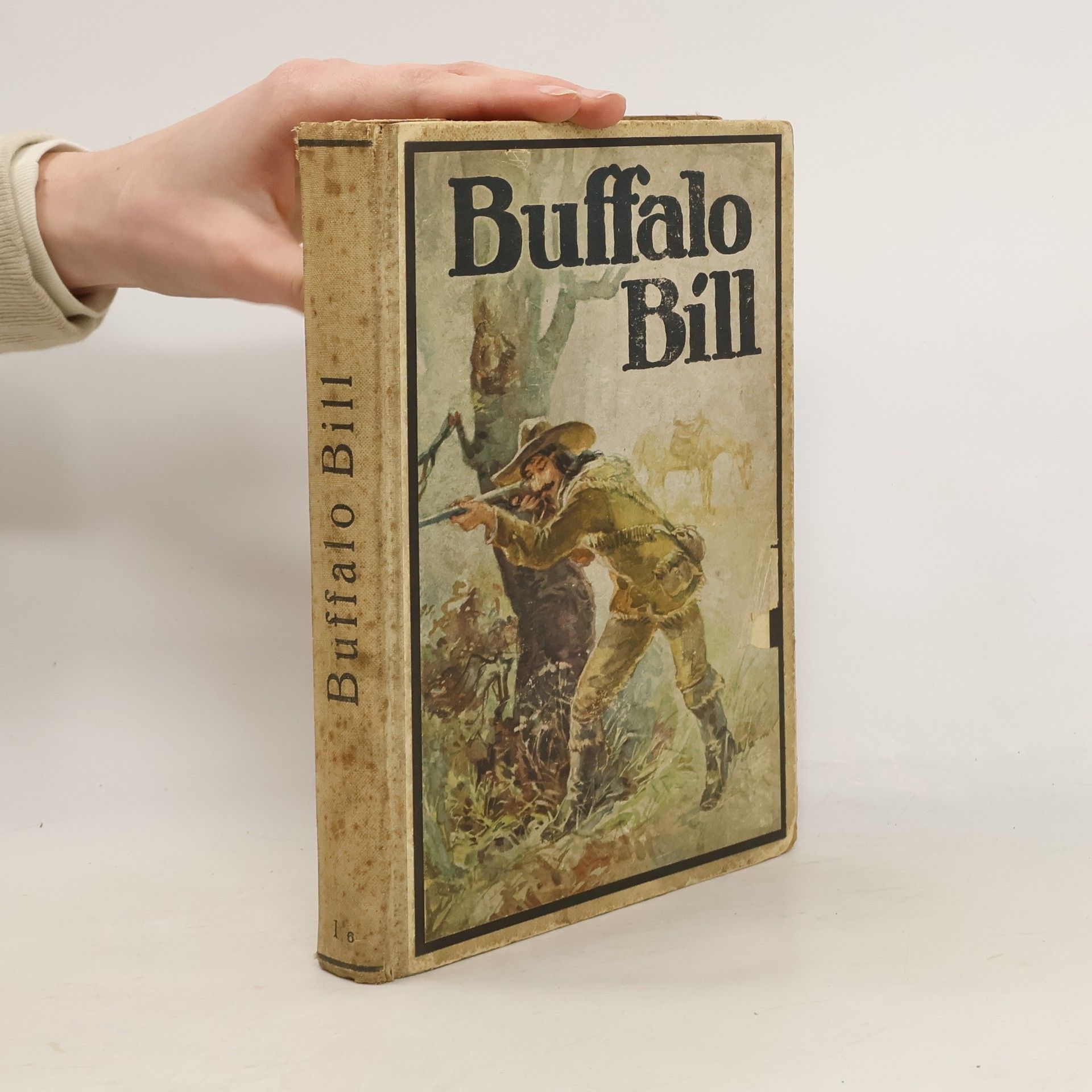 Helen Cody Wetmore Buffalo Bill. Der letzte große Kundschafter