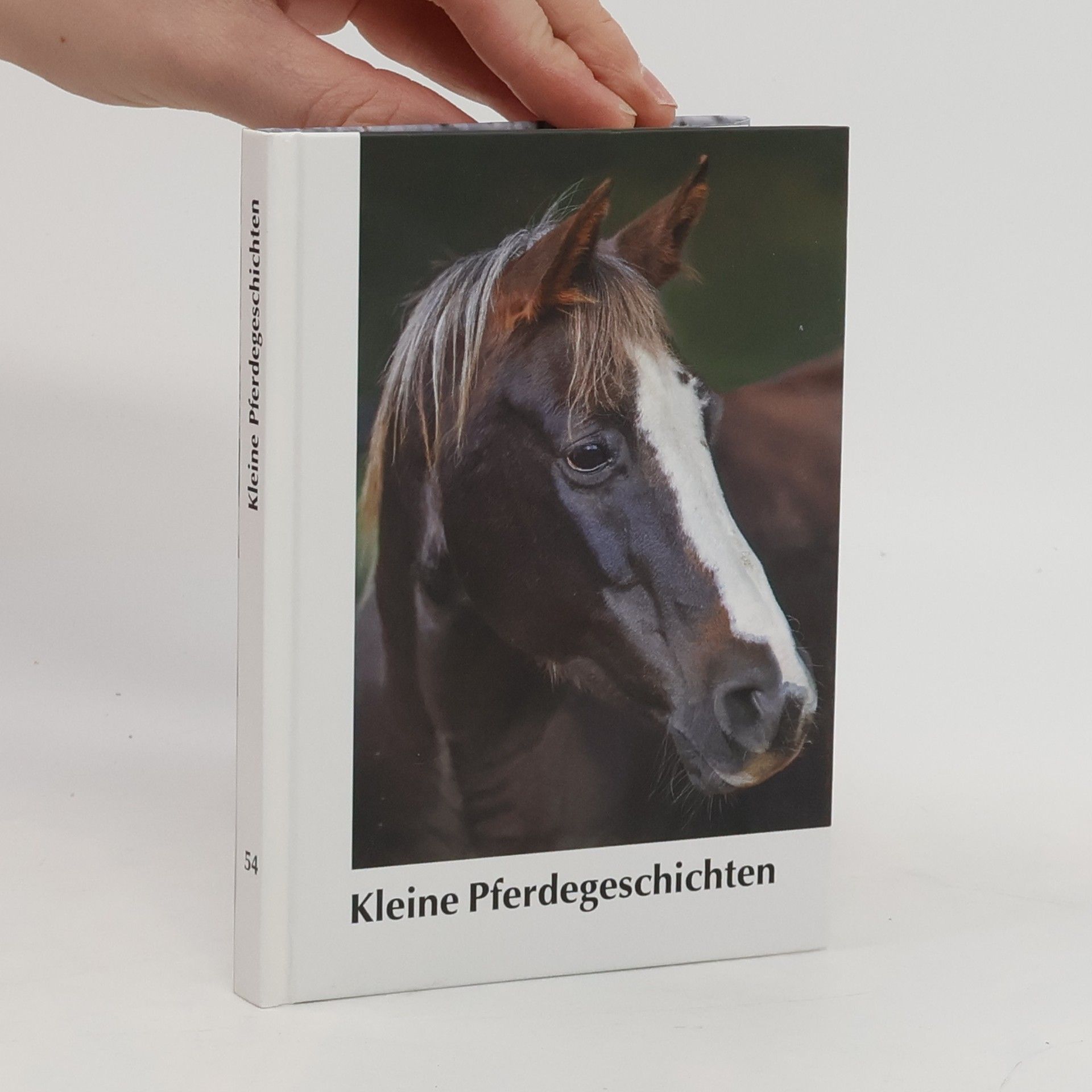 AA.VV. Kleine Pferdegeschichten 54