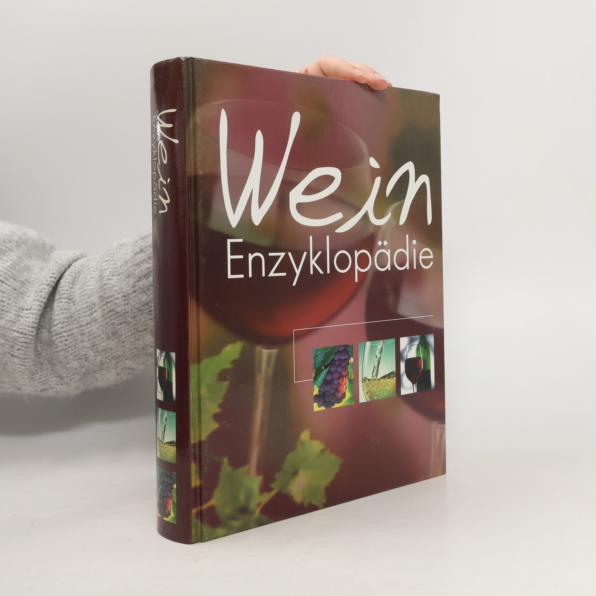 Autorenkollektiv Wein Enzyklopädie