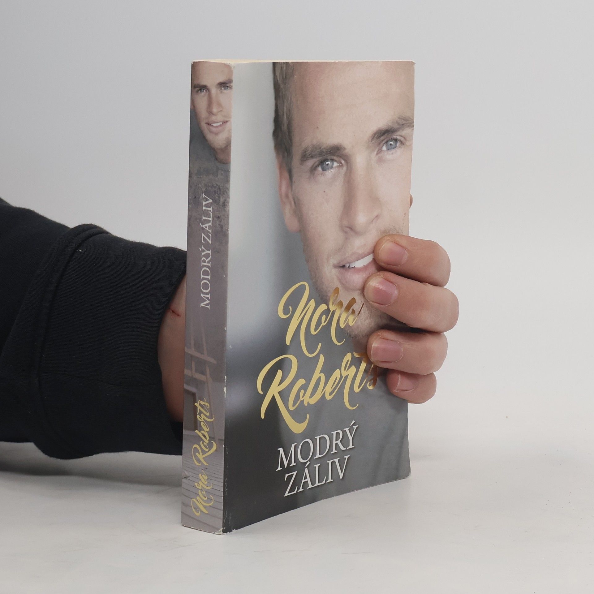 Nora Roberts Modrý záliv