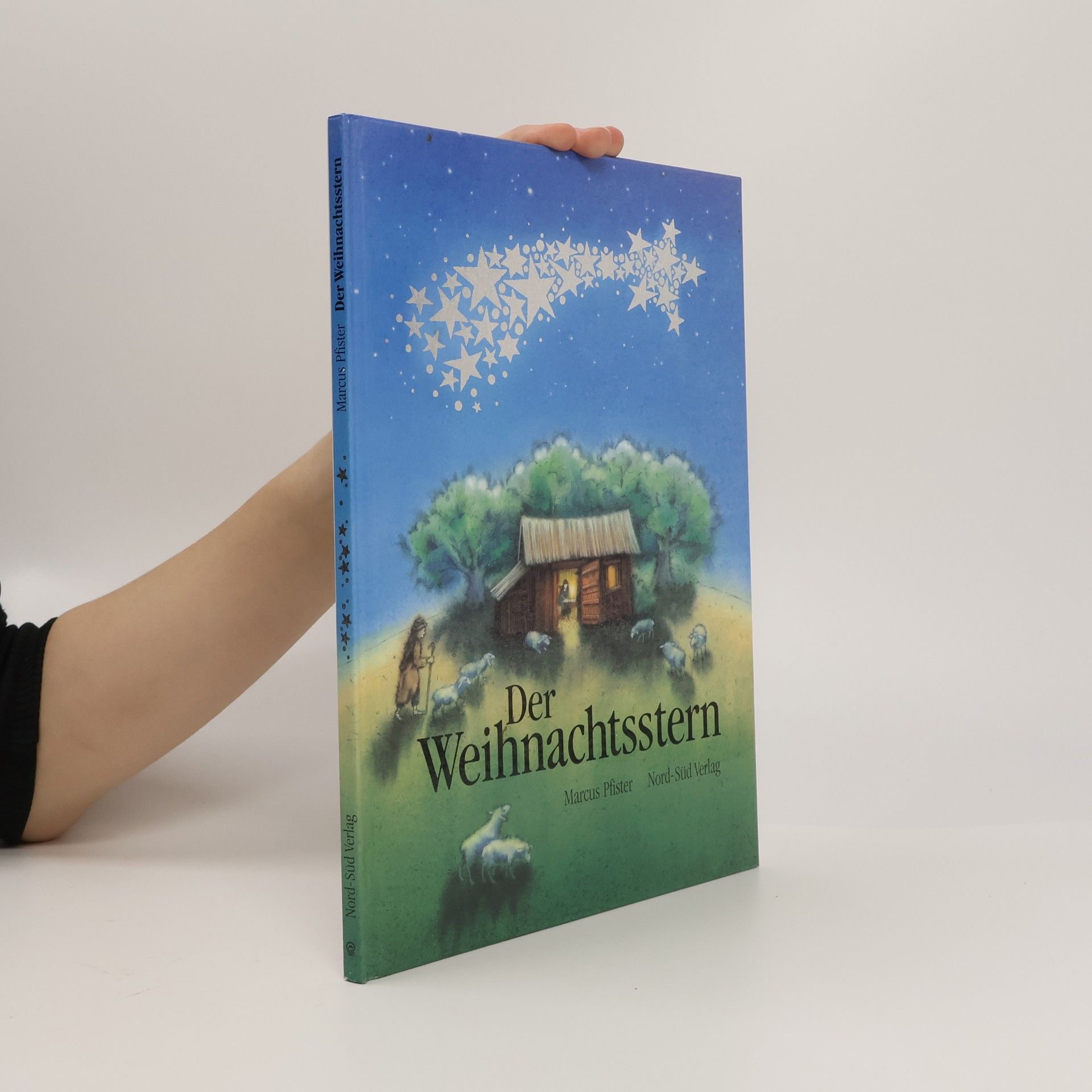 Marcus Pfister Der Weihnachtsstern