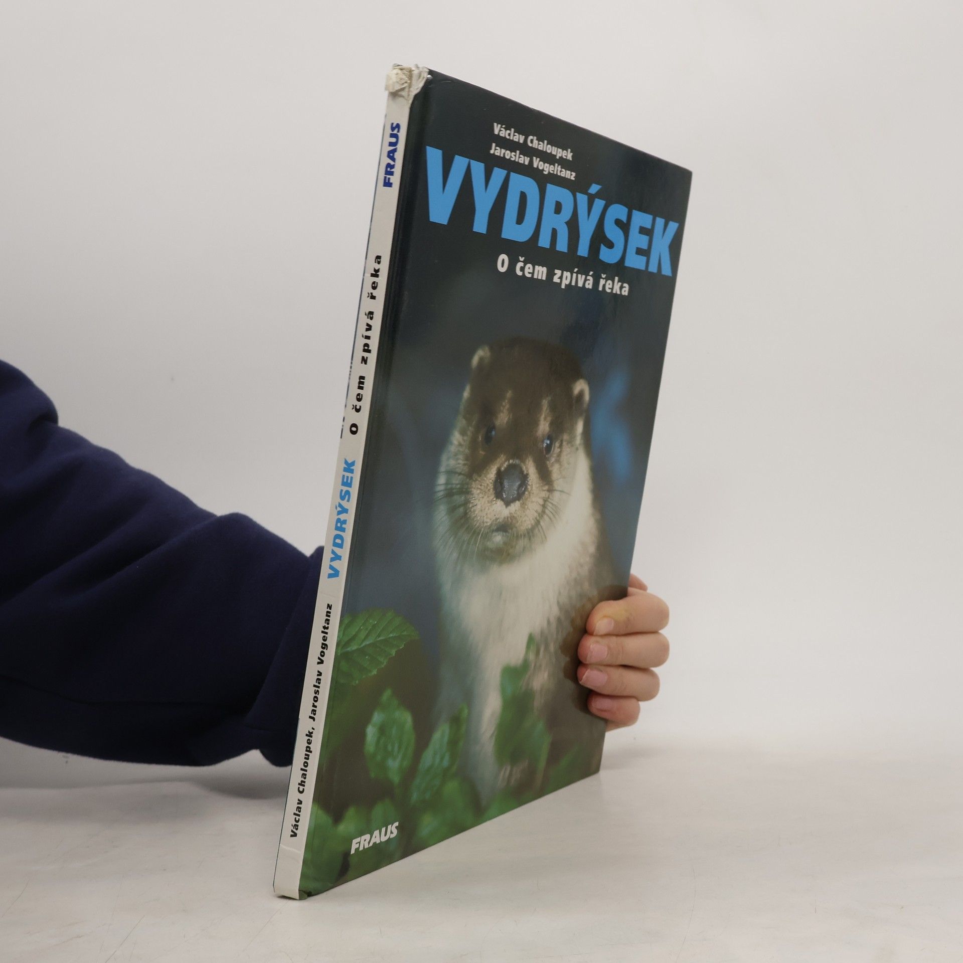 Jaroslav Vogeltanz Vydrýsek. O čem zpívá řeka