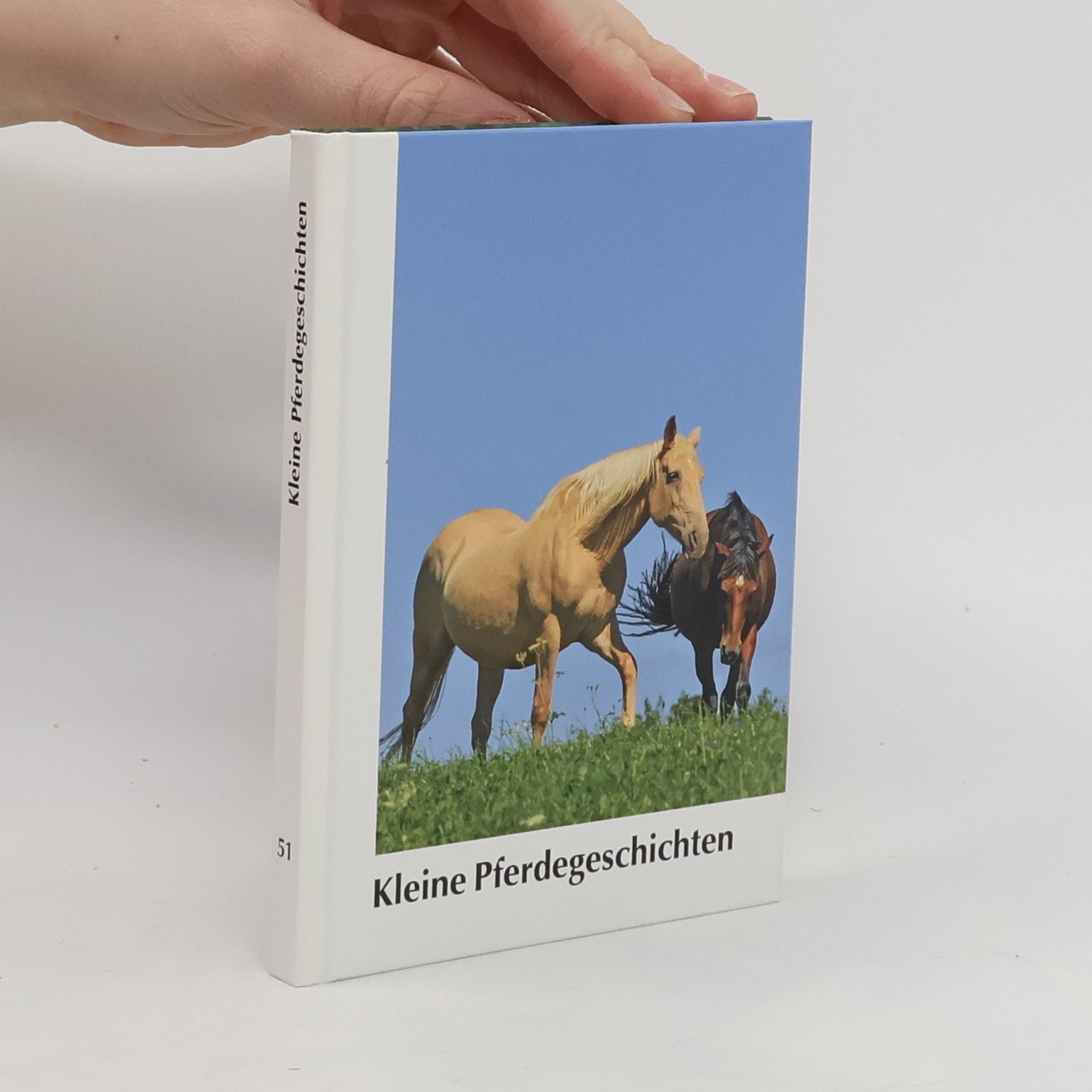 AA.VV. Kleine Pferdegeschichten 51