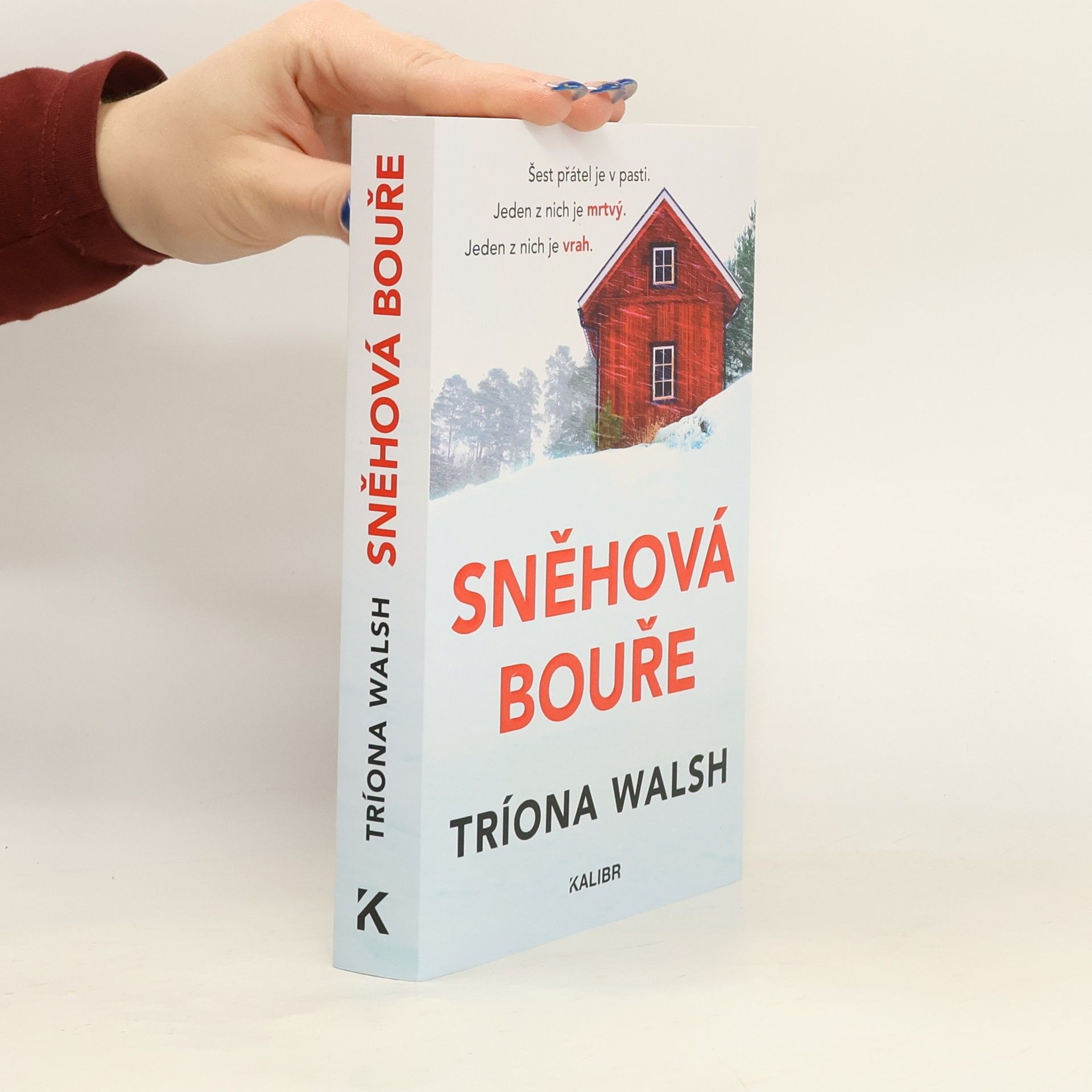 Tríona Walsh Sněhová bouře