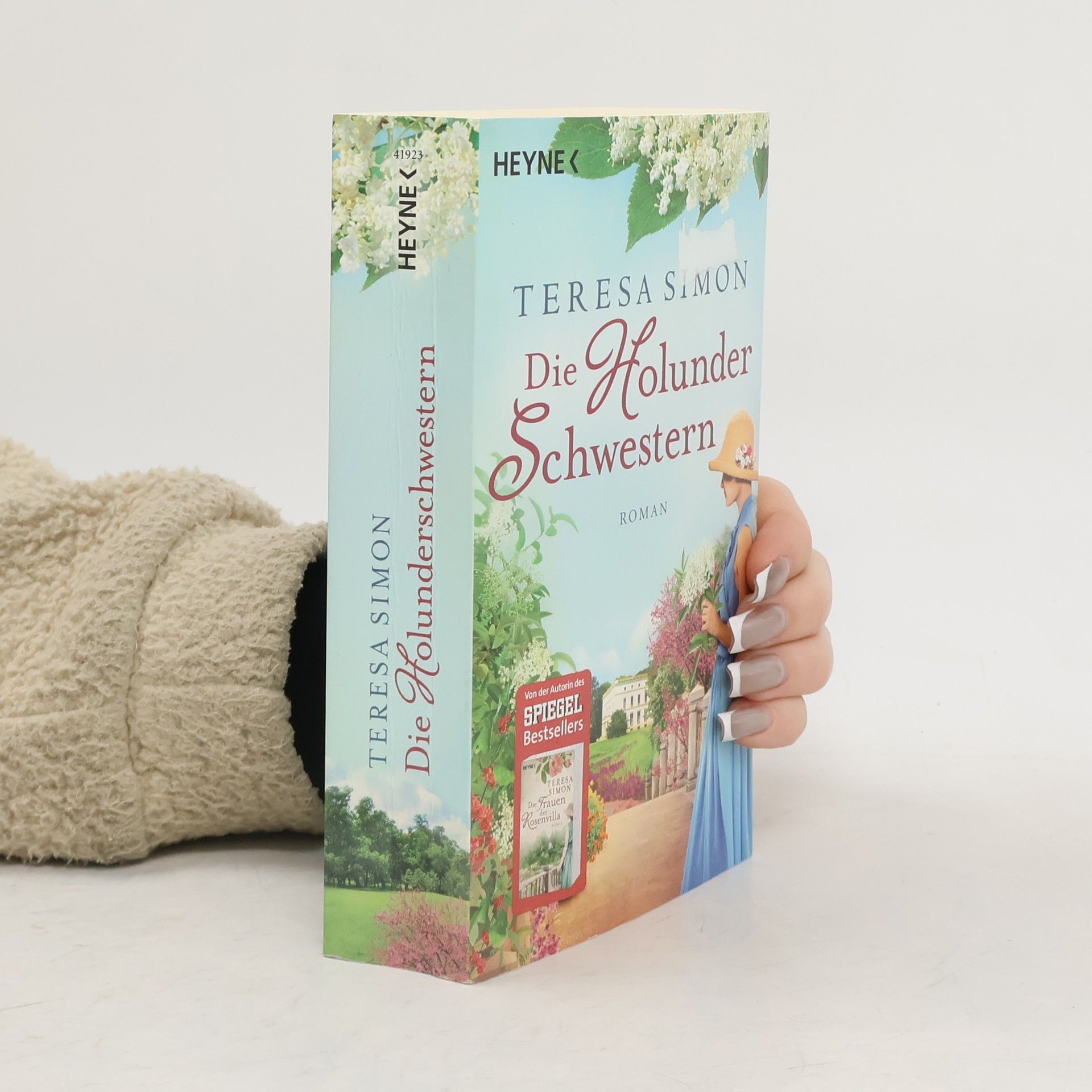 Brigitte Riebe Die Holunderschwestern