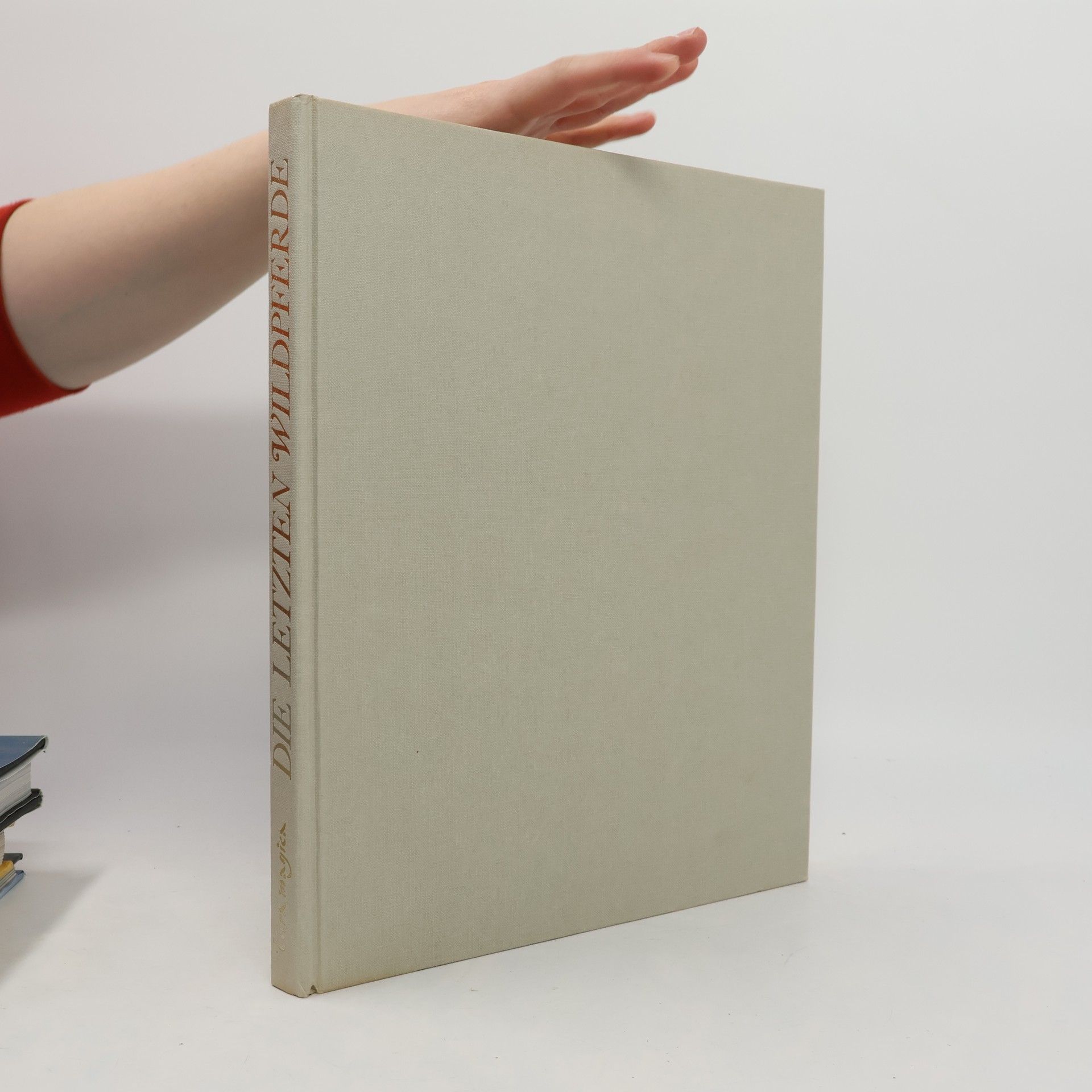 Die letzten Wildpferde