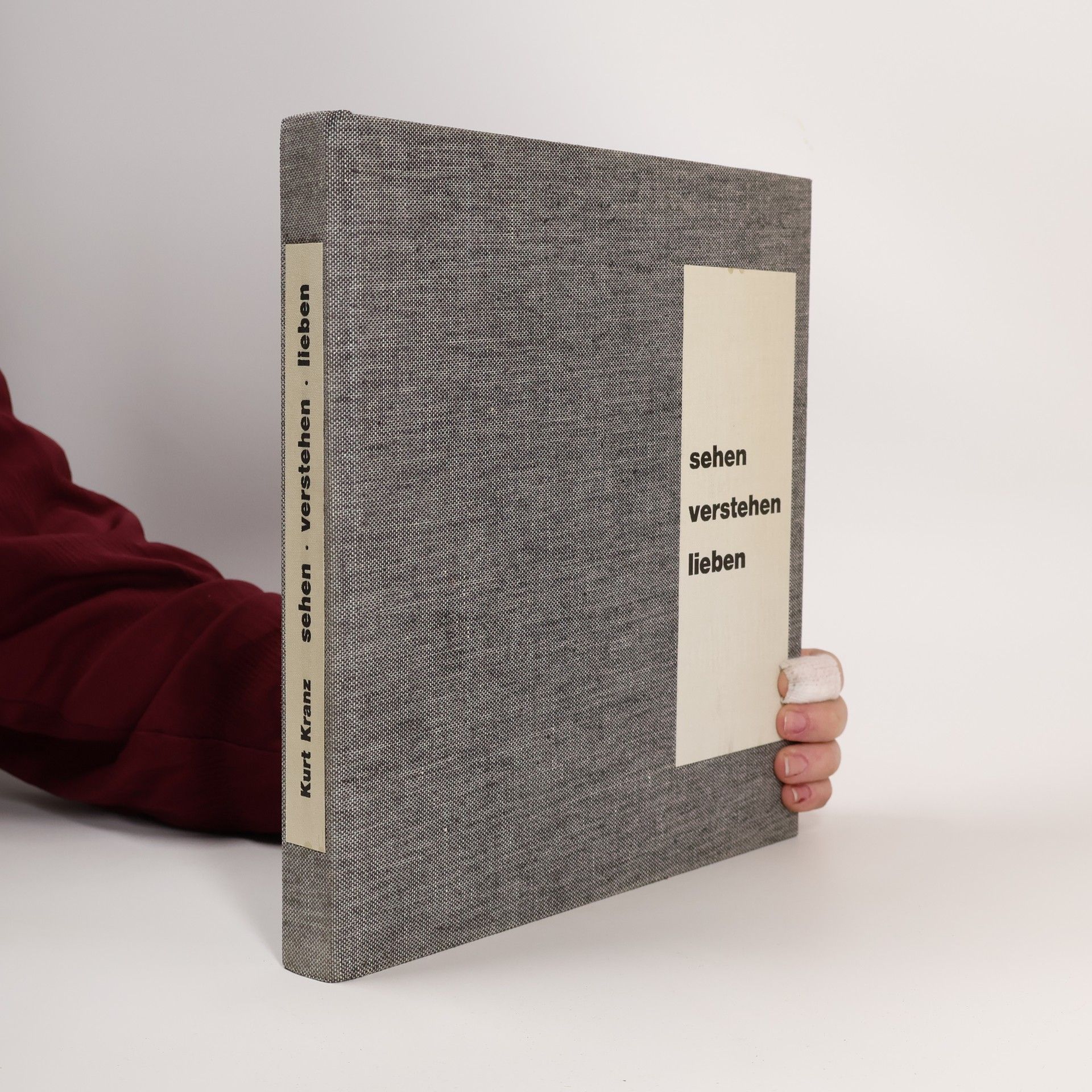 Sehen, Verstehen, Lieben. Drei Schritte in die Kunst