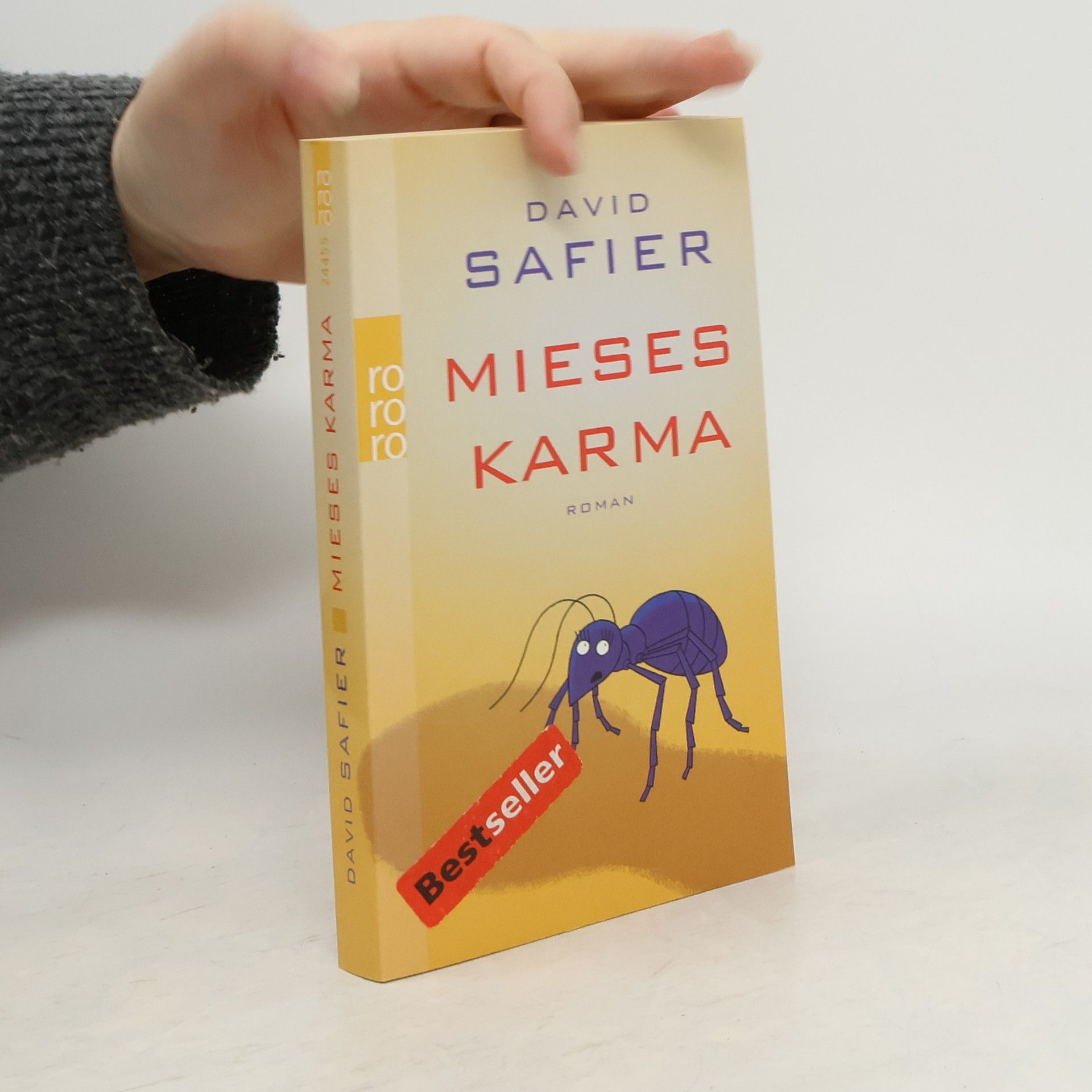 David Safier Mieses Karma