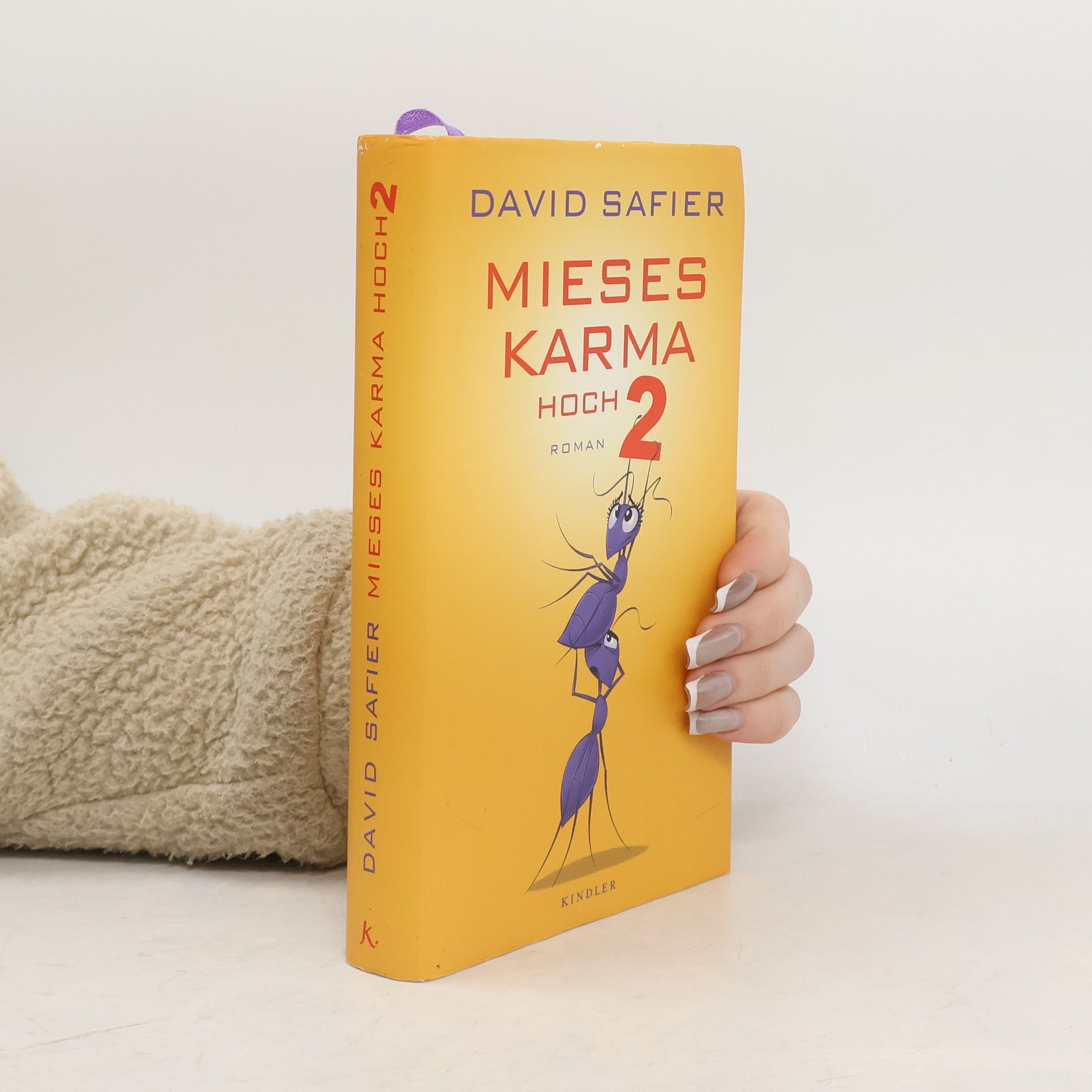 David Safier Mieses Karma hoch 2