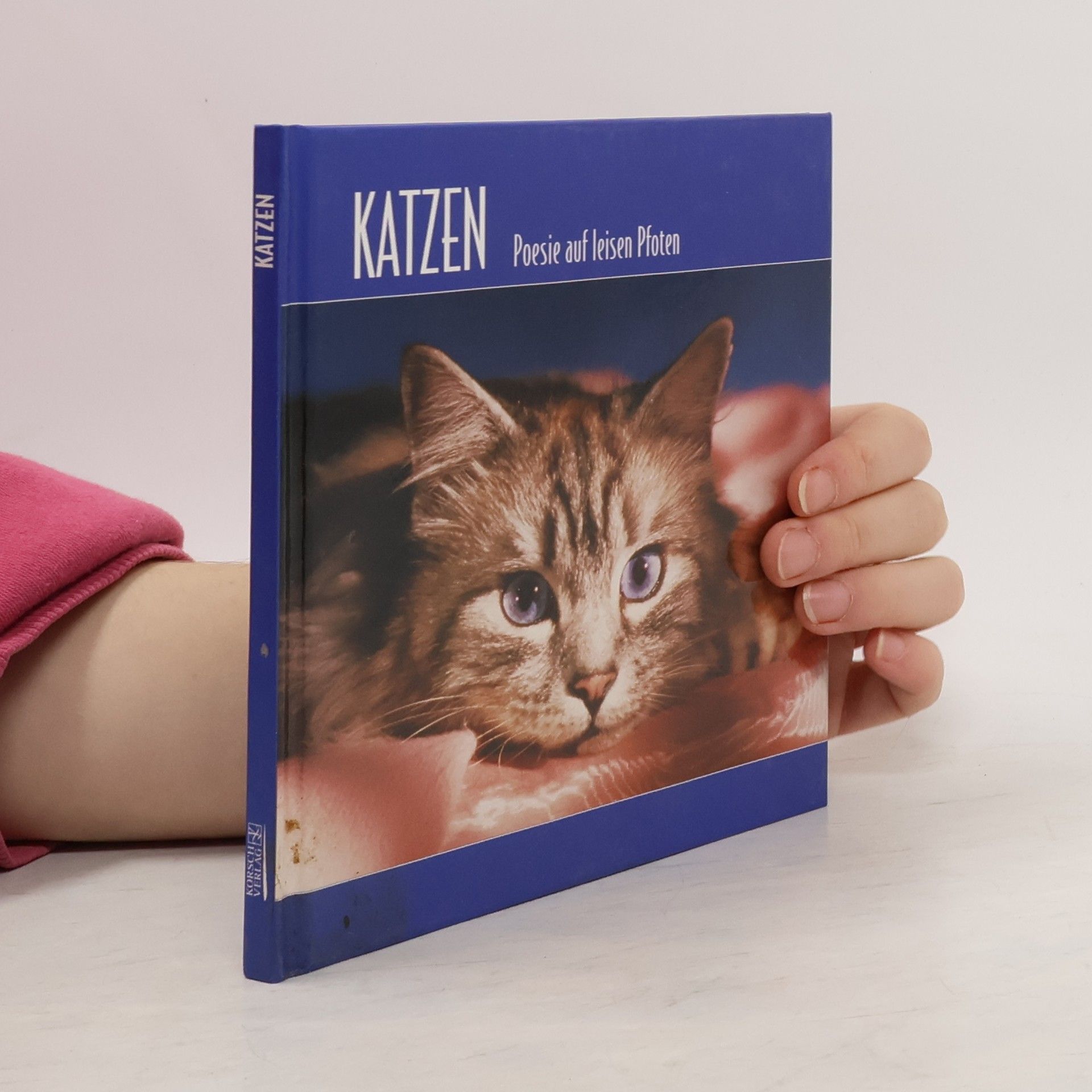 Autorenkollektiv Katzen