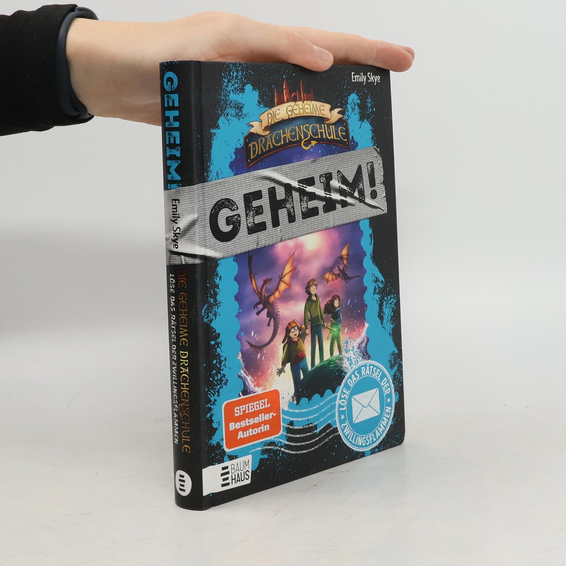 Emily Skye Die geheime Drachenschule: Löse das Rätsel der Zwillingsflammen (Geheim!)