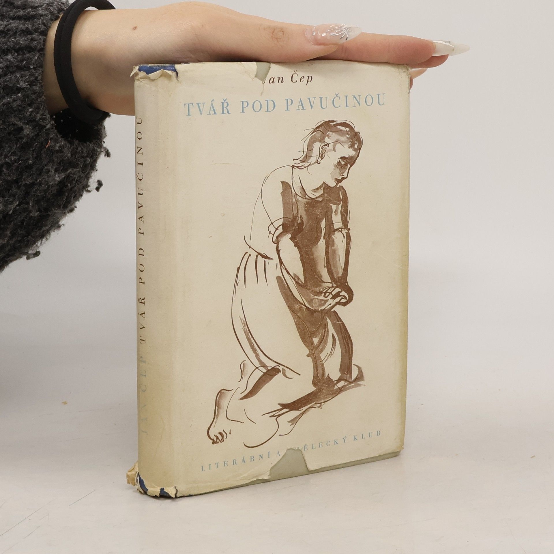 Jan Čep Tvář pod pavučinou