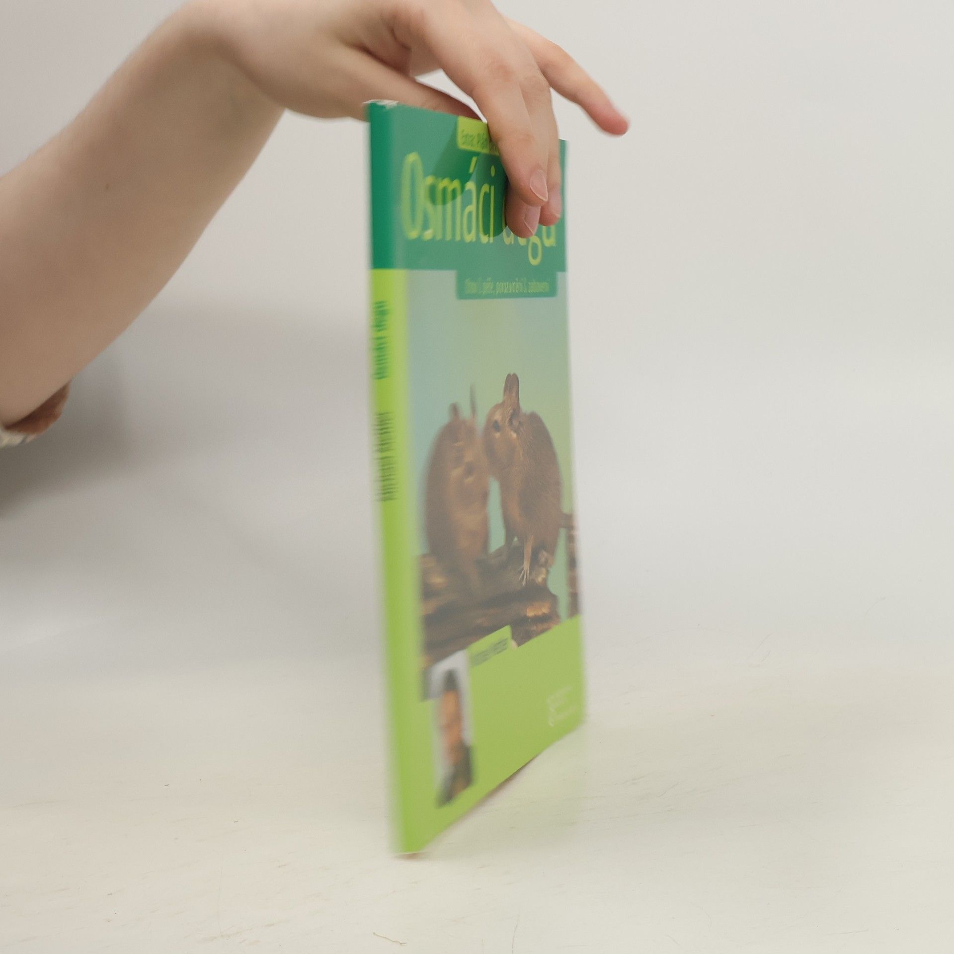 Michael Mettler Osmáci degu : chov & péče, porozumění & zabavení