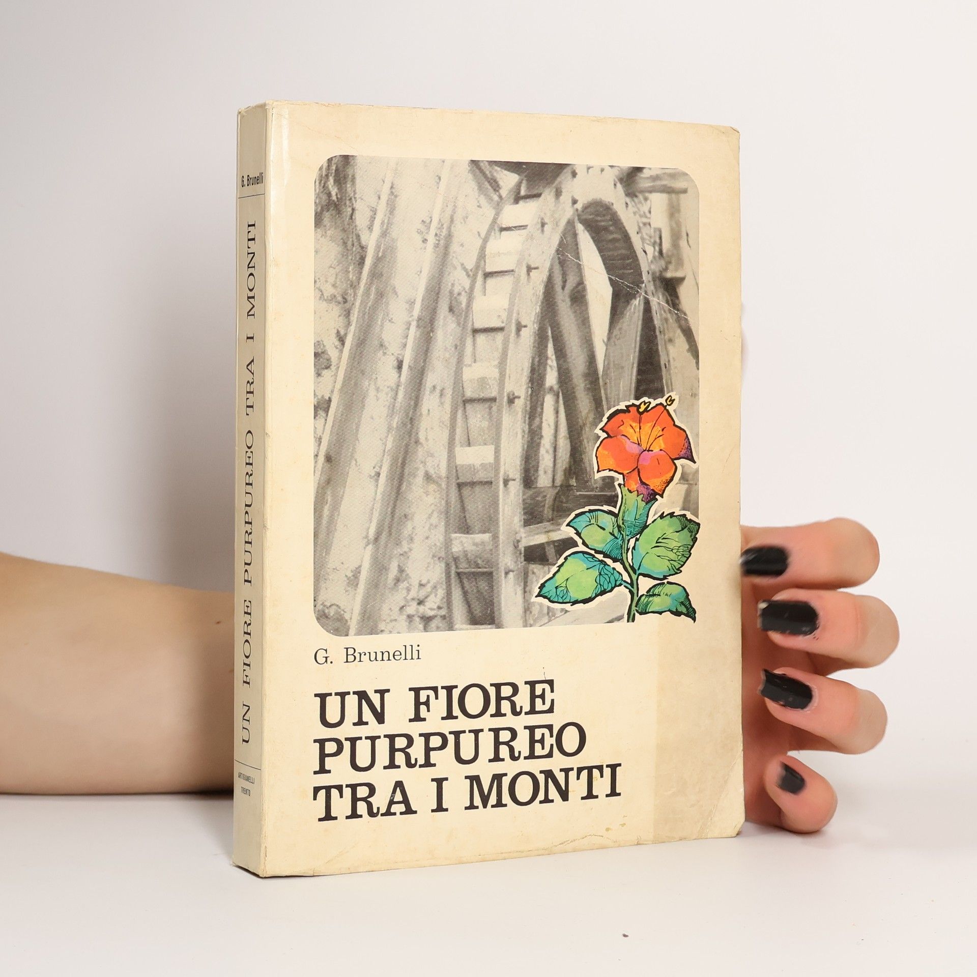 Giovanni Brunelli Un fiore purpureo tra i monti.