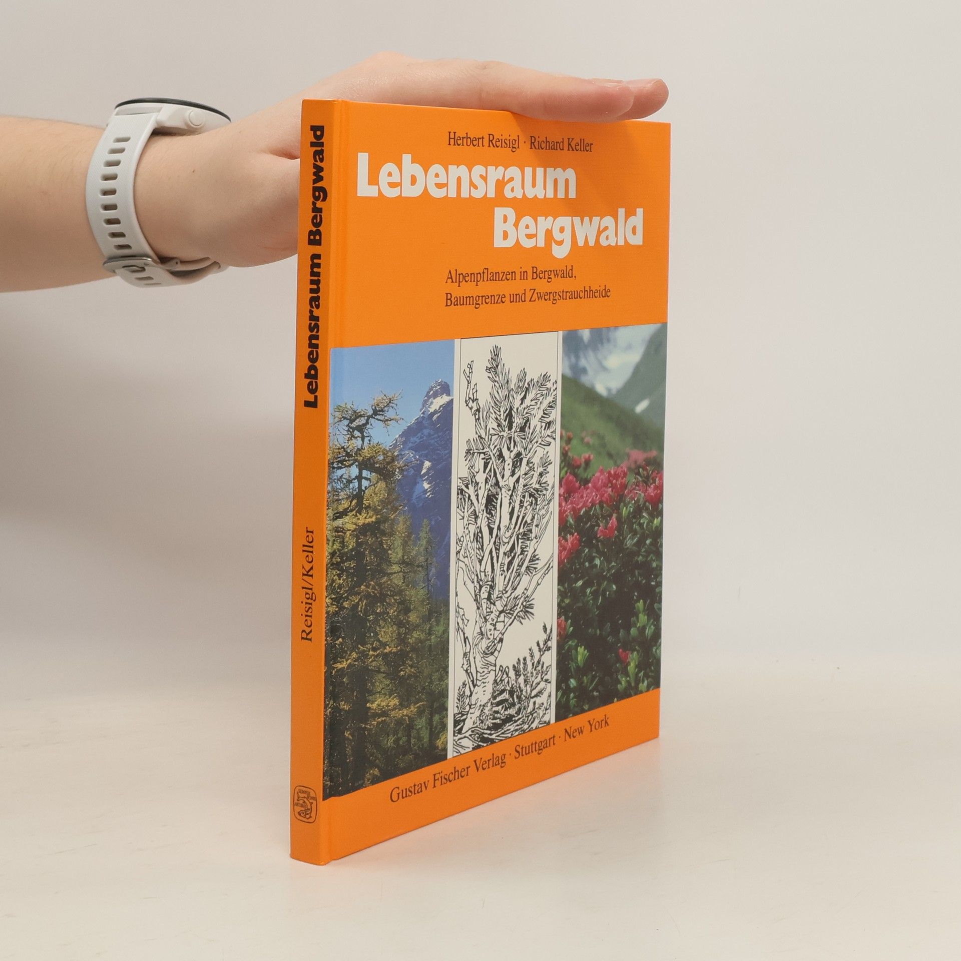 Herbert Reisigl Lebensraum Bergwald