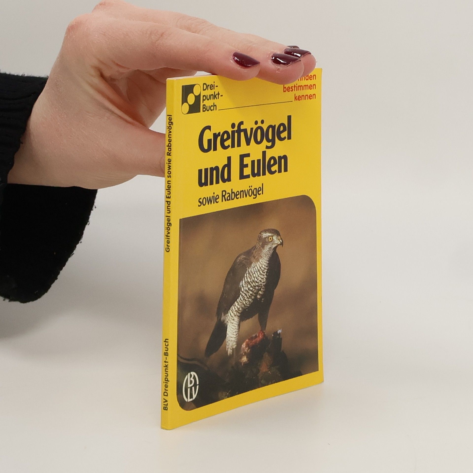 Dorothee Eisenreich Greifvögel und Eulen sowie Rabenvögel