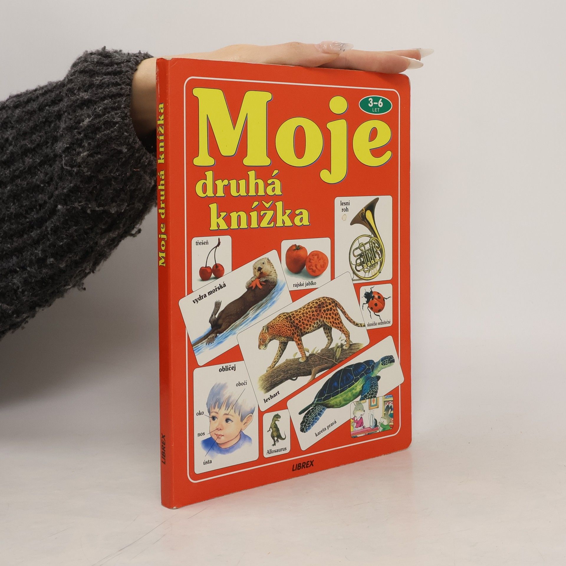 Autorenkollektiv Moje druhá knížka