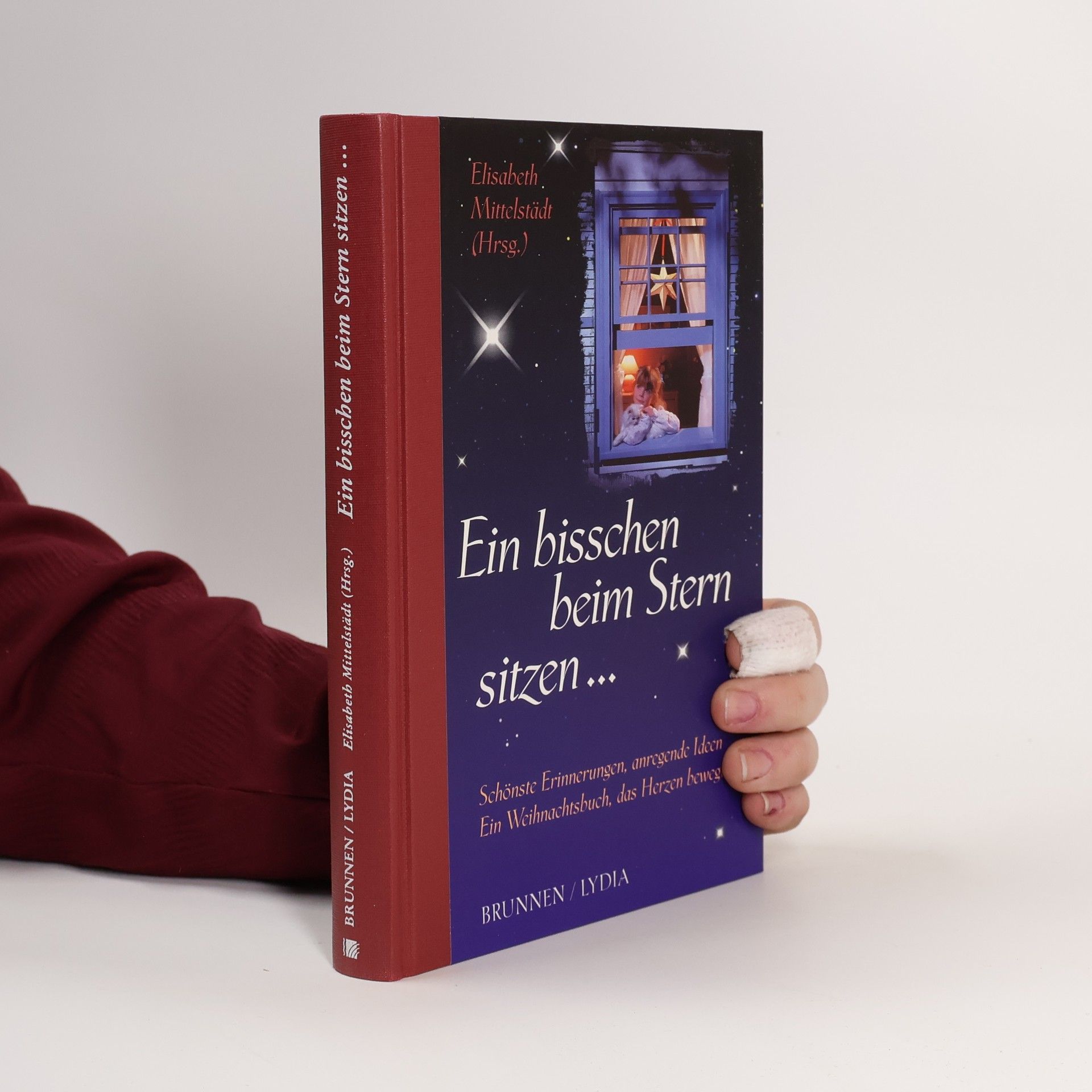 Elisabeth Mittelstaedt Ein bisschen beim Stern sitzen...