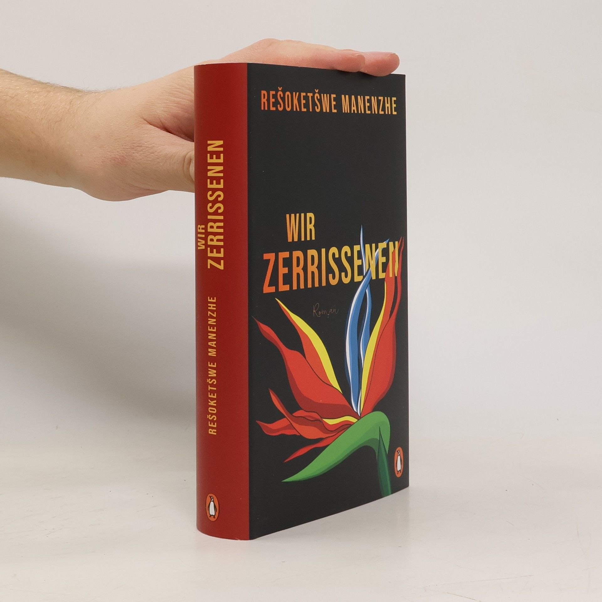 Rešoketšwe Manenzhe Wir Zerrissenen