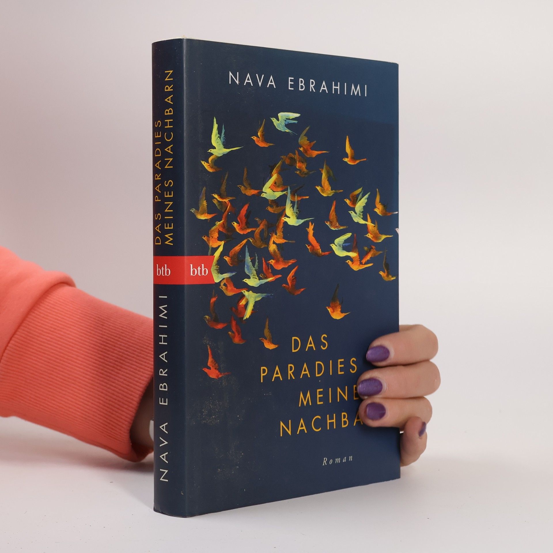 Nava Ebrahimi Das Paradies meines Nachbarn