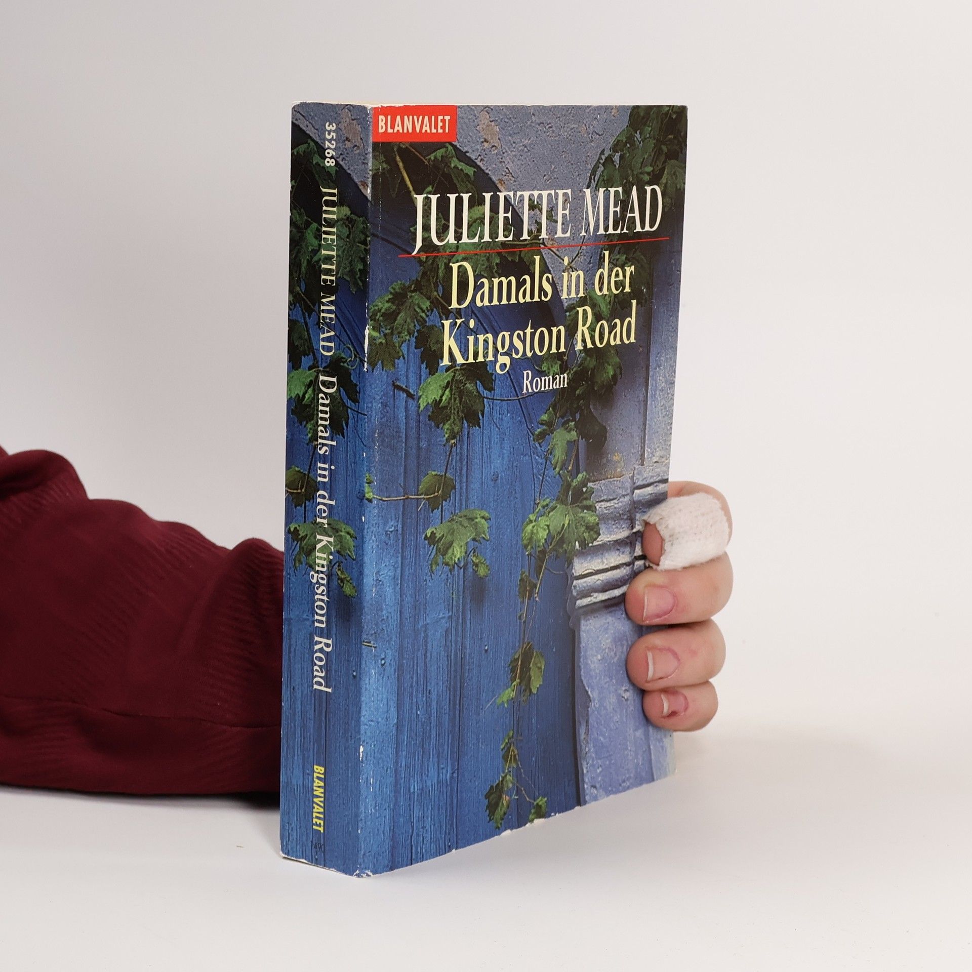 Juliette Mead Endlich Stadtluft