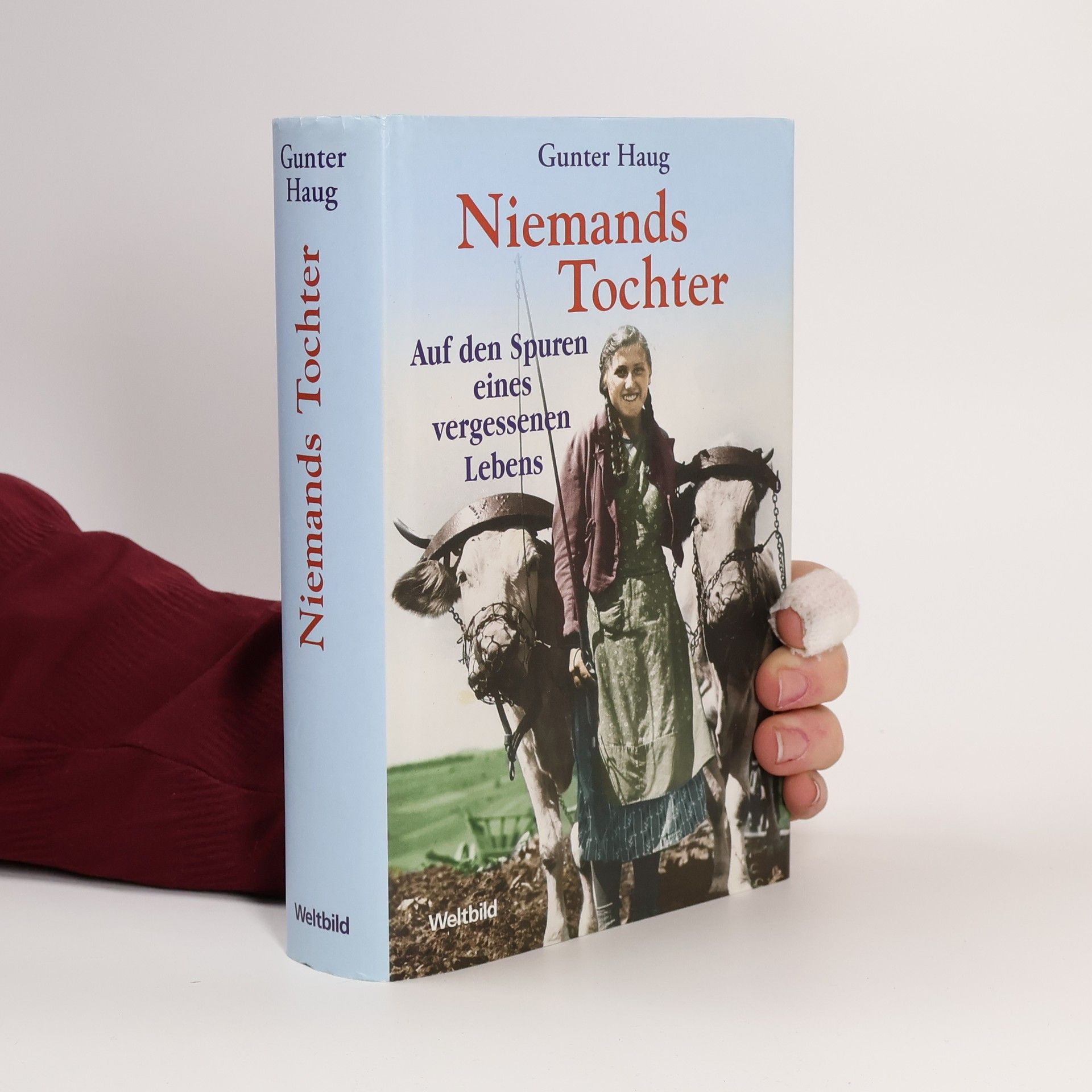 Gunter Haug Niemands Tochter