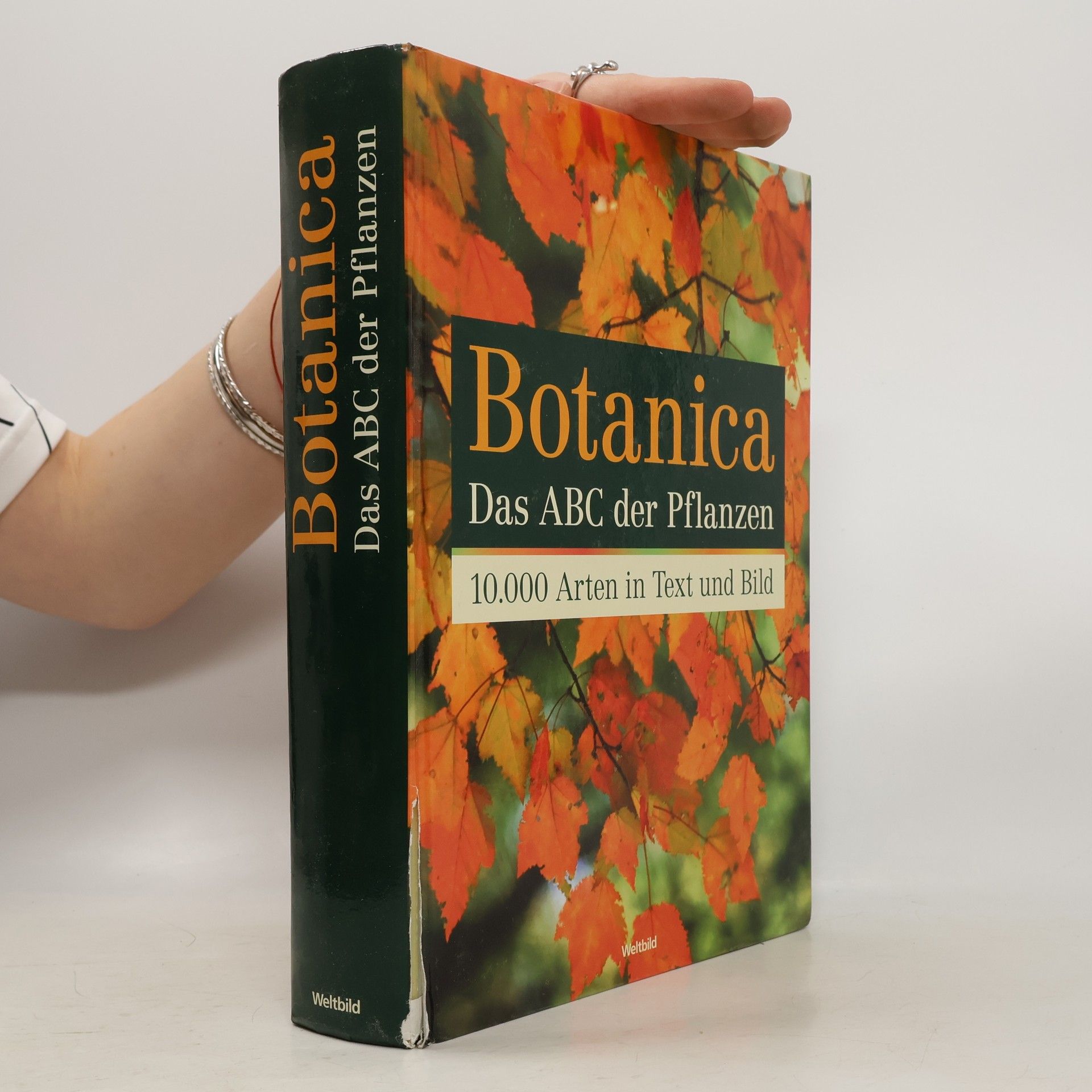 Geoff Burnie Botanica