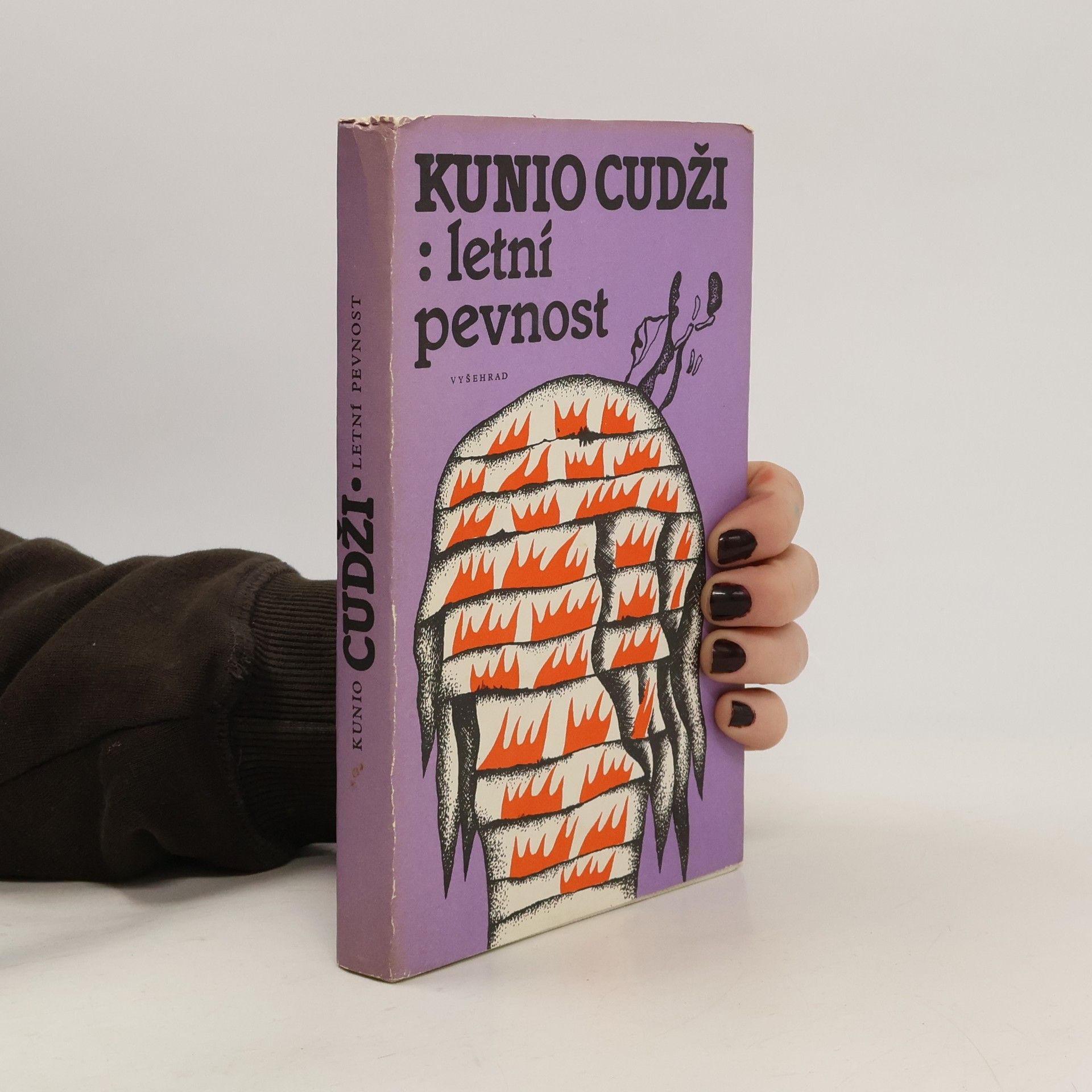 Zdenka Švarcová Letní pevnost