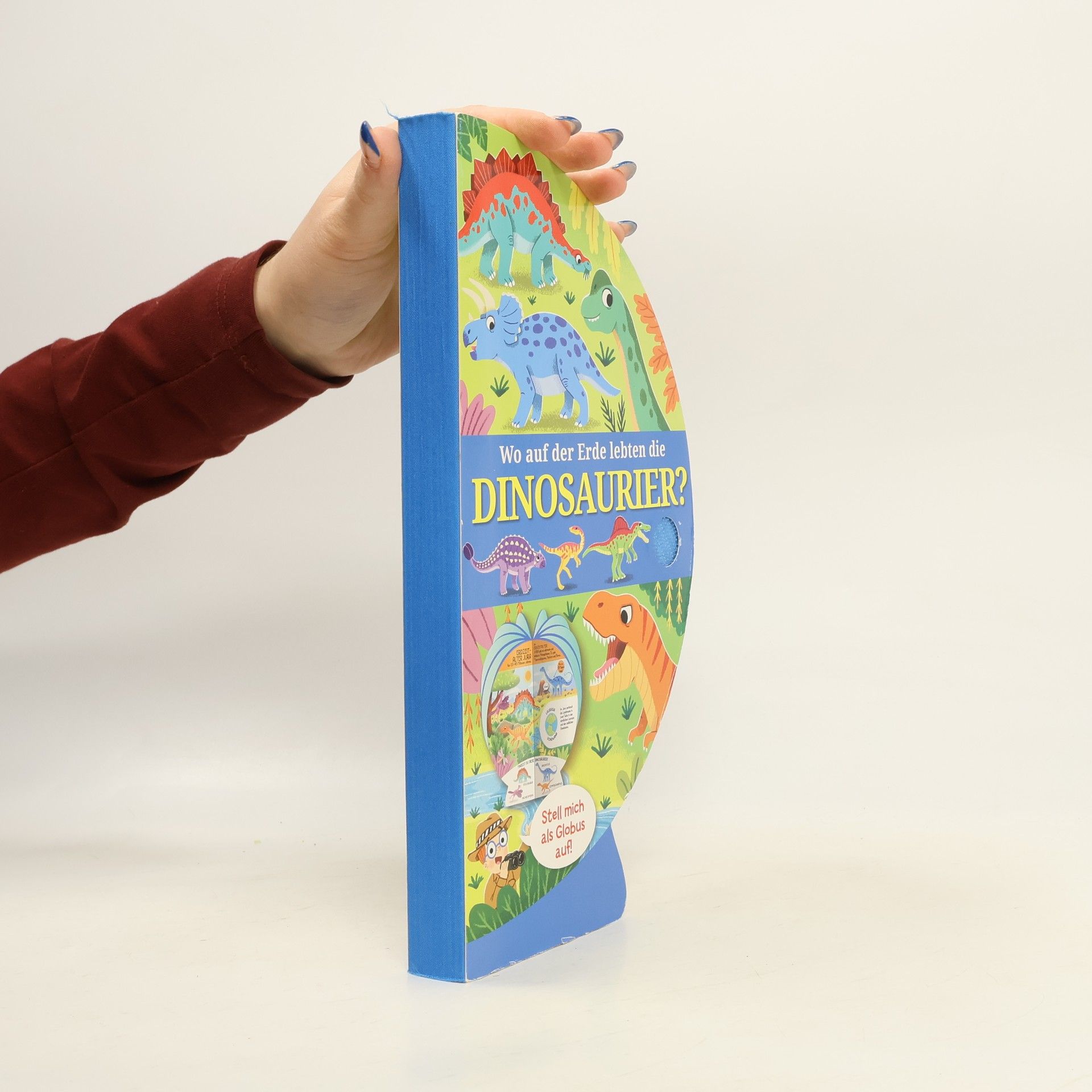 Auteurscollectief Wo auf der Erde lebten die Dinosaurier?