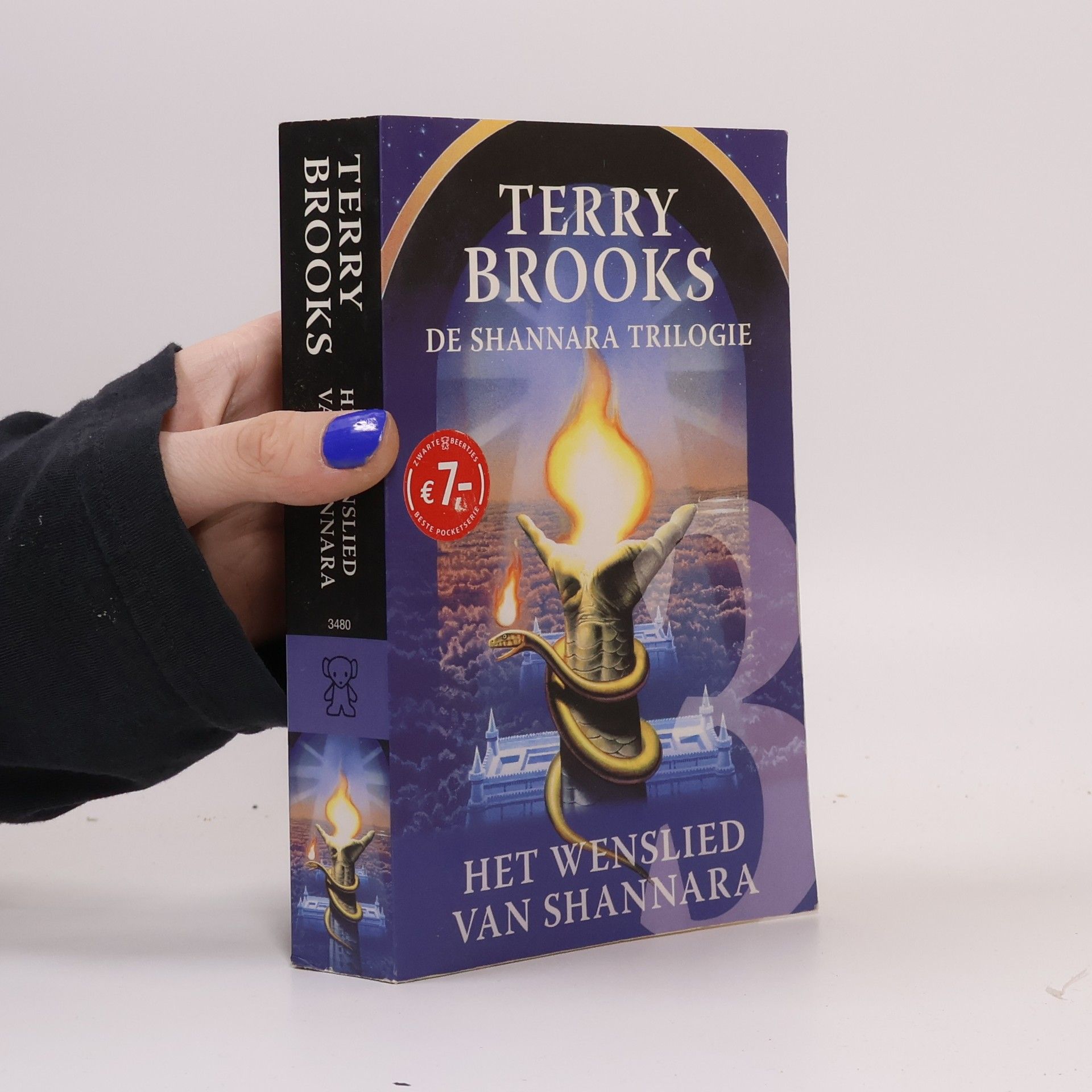 Terry Brooks De Shannara trilogie - 3: Het wenslied van Shannara