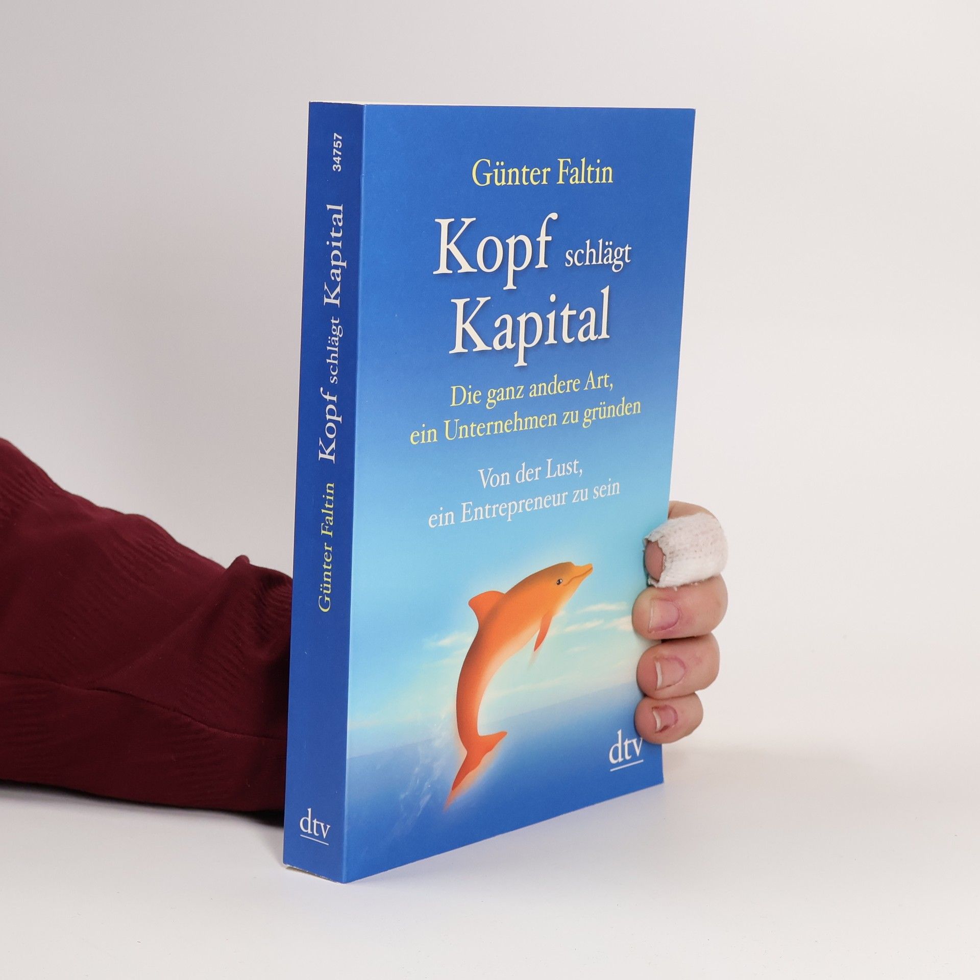 Günter Faltin Kopf schlägt Kapital